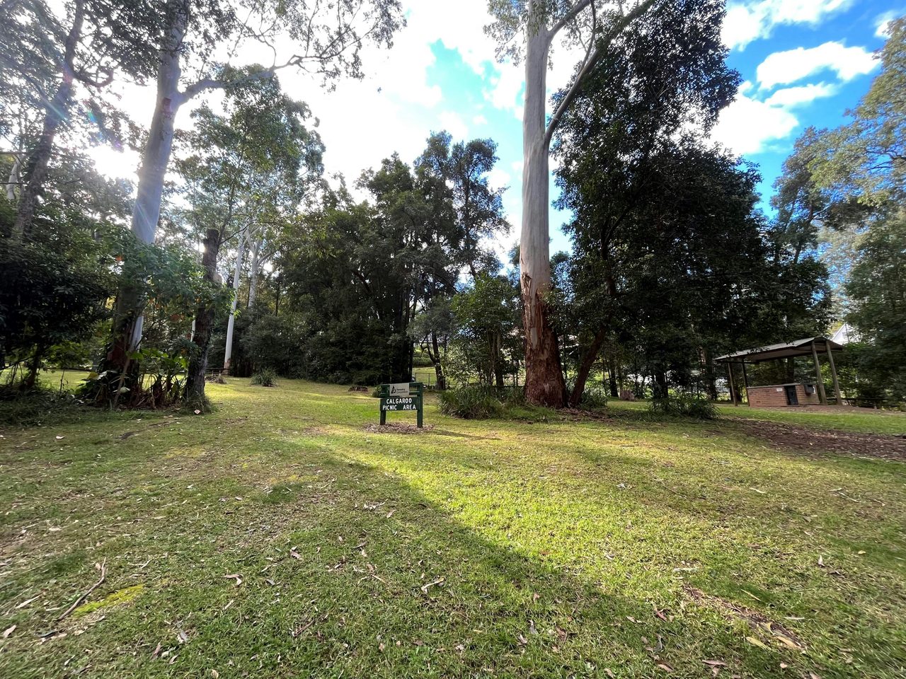 Green, open spaces in Cumberland State Forest
