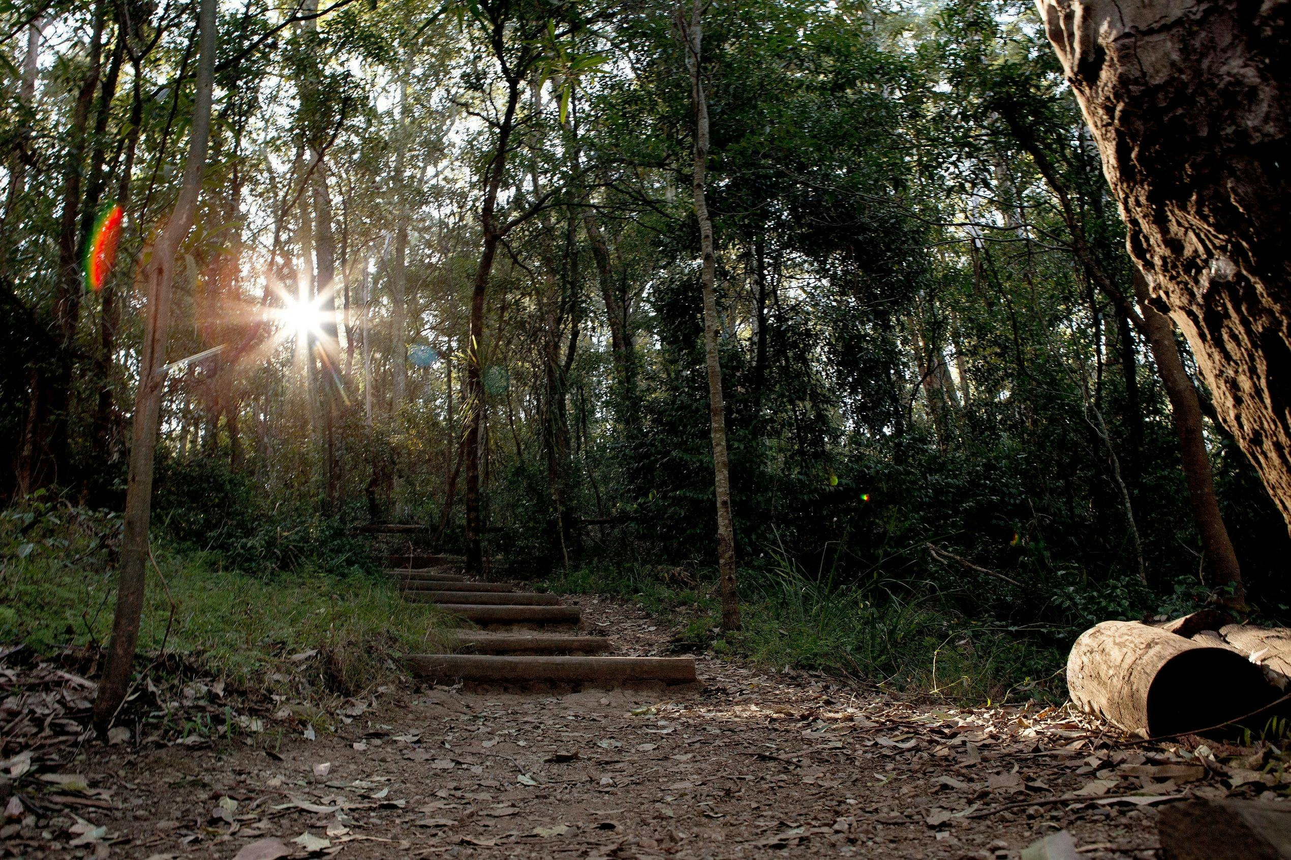 Walking tracks abound in Cumberland State Forest