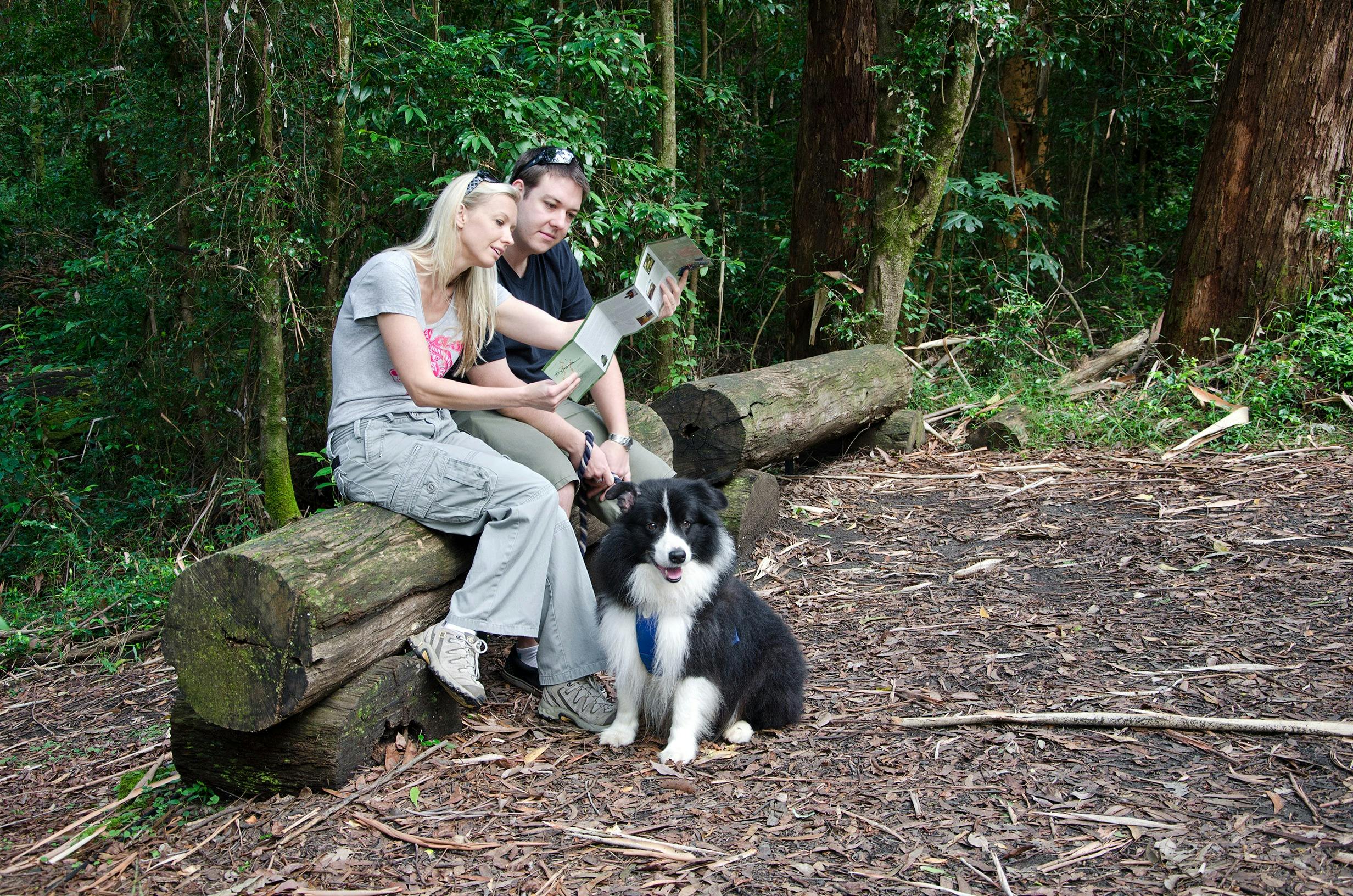 Cumberland State Forest is dog-friendly