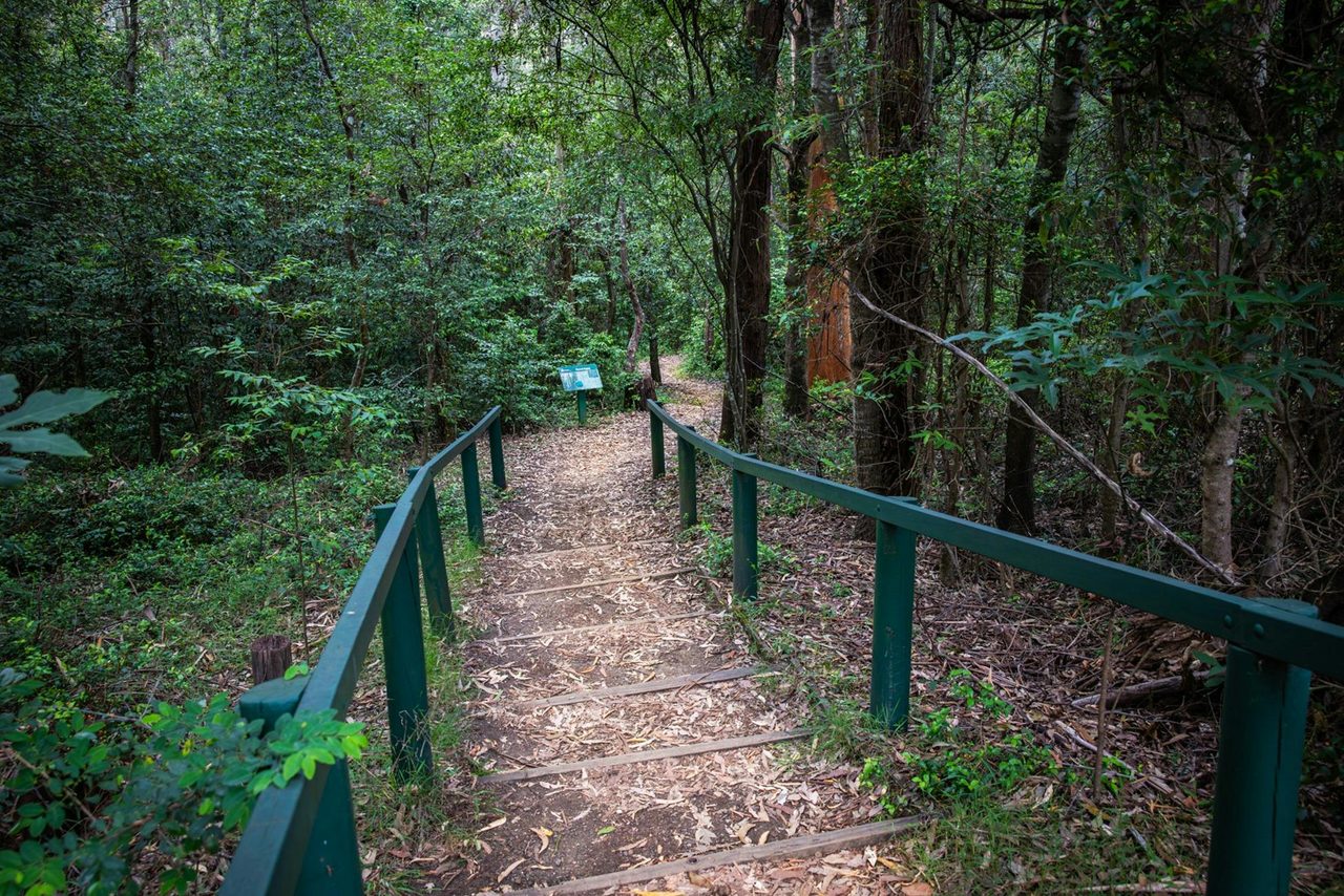 Walking track