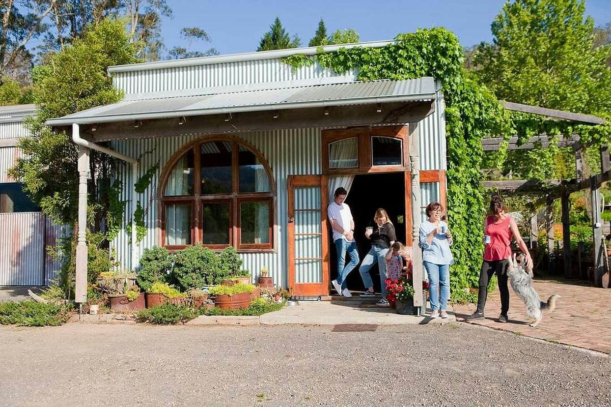 The Shed