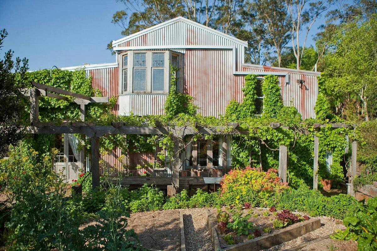 The Shed veggies
