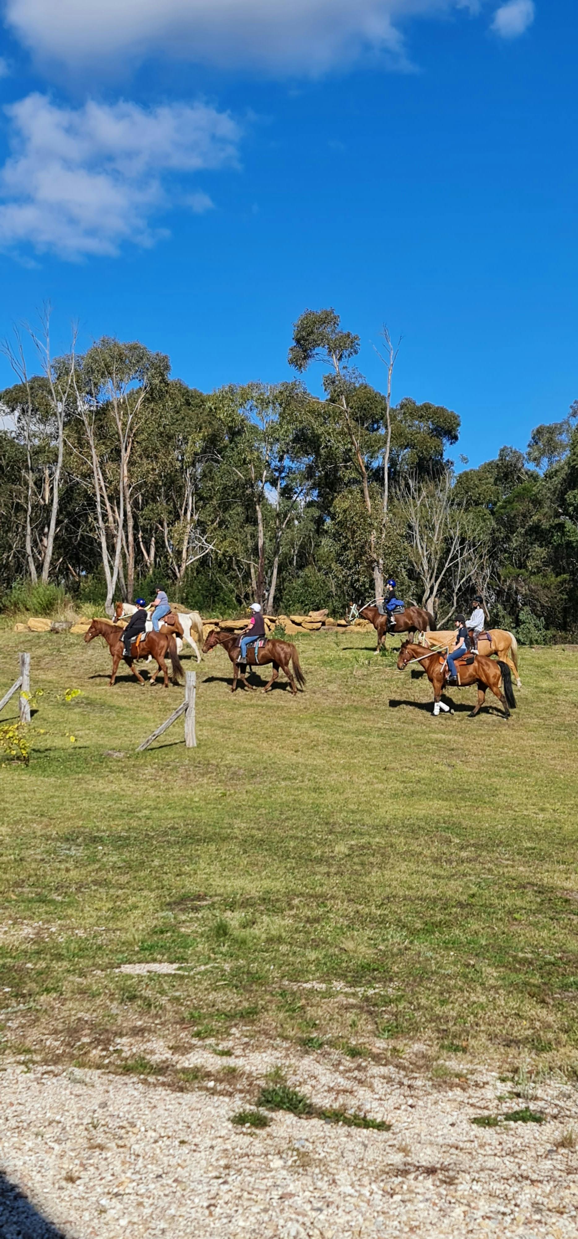 Horse Riding by Canyonleigh Trails
