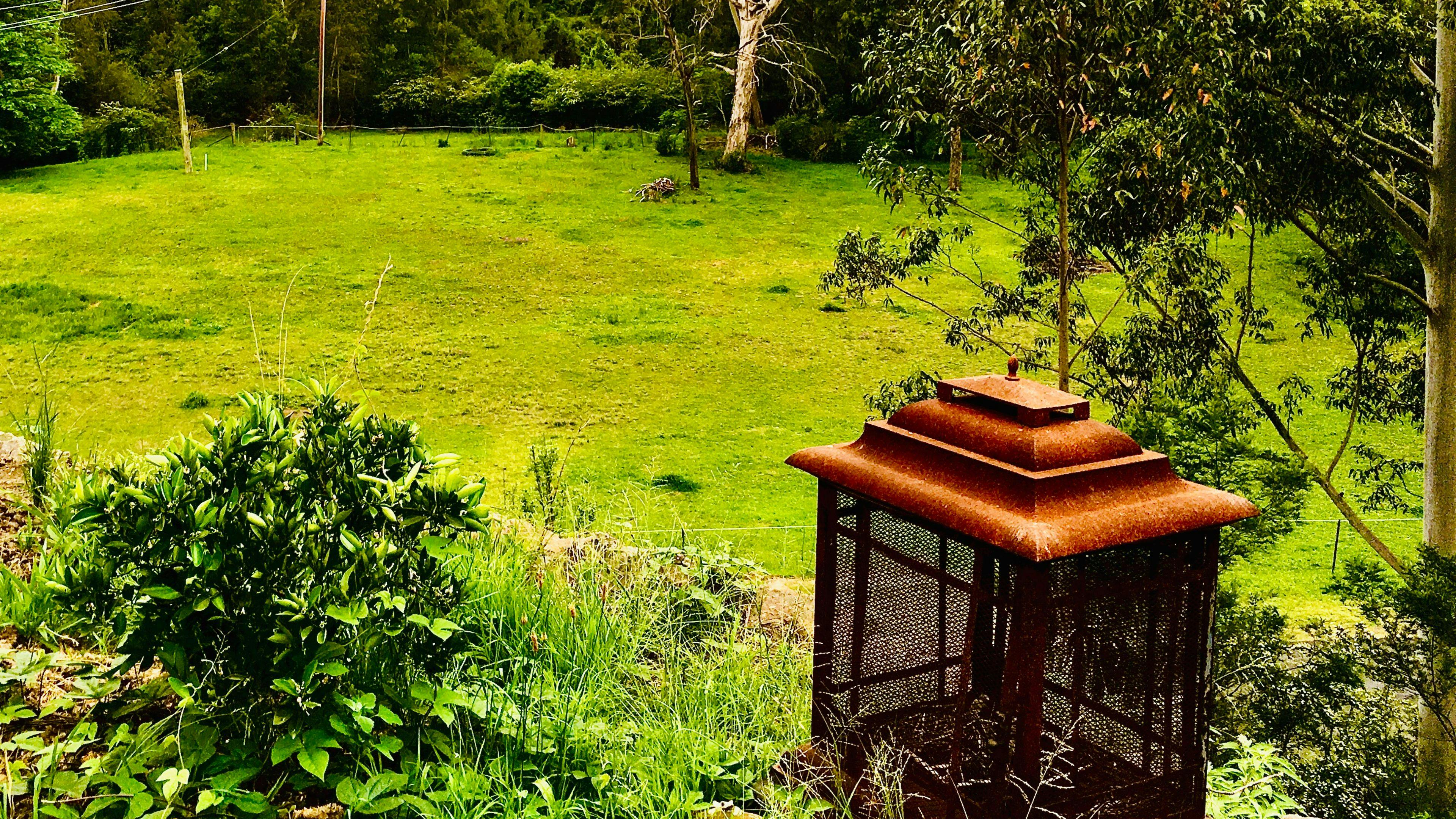 C Colo - just beautiful