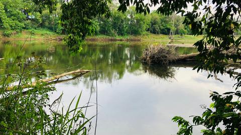 Cameron Falls Farm