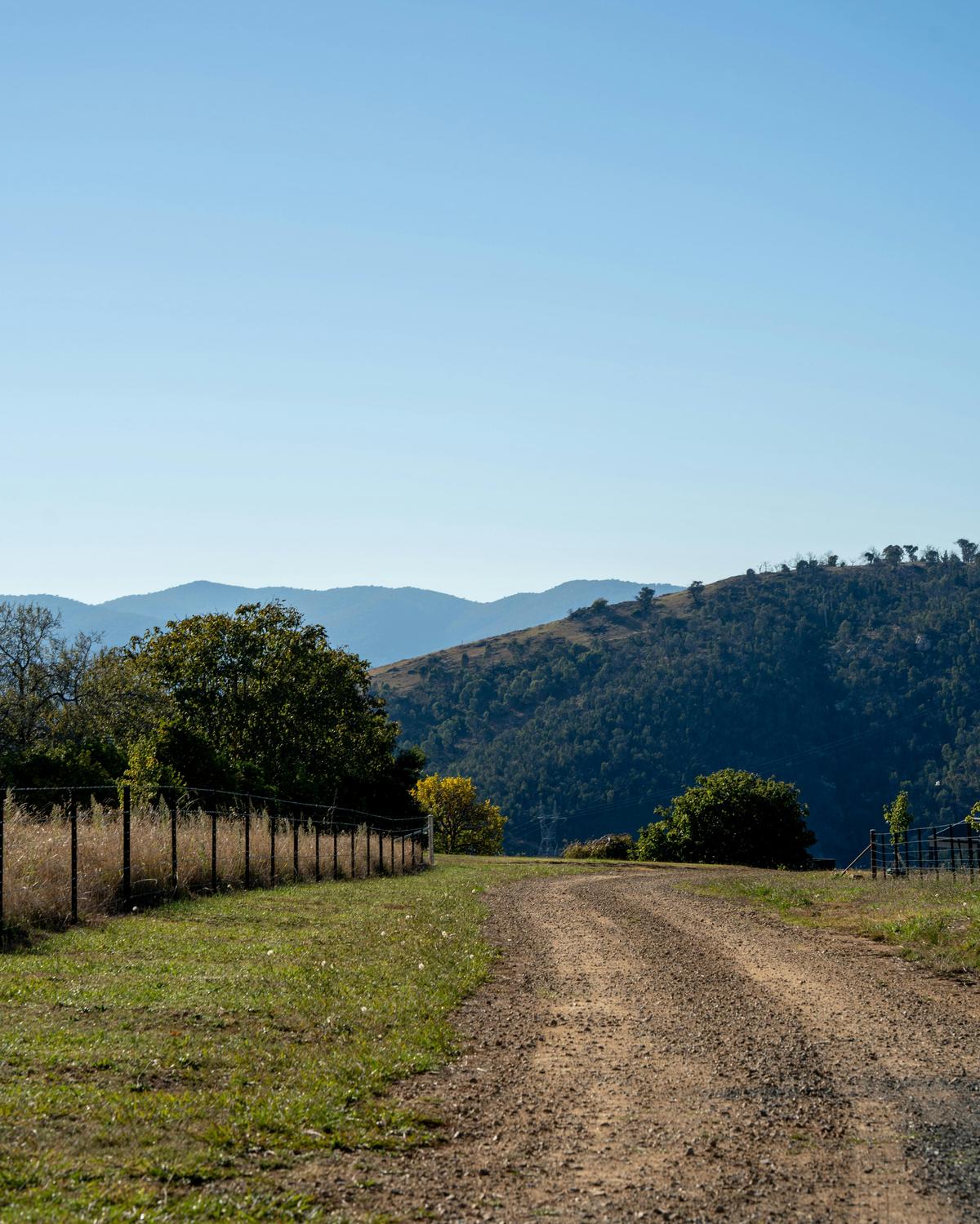 Driveway leading to the farm stay accommodation.