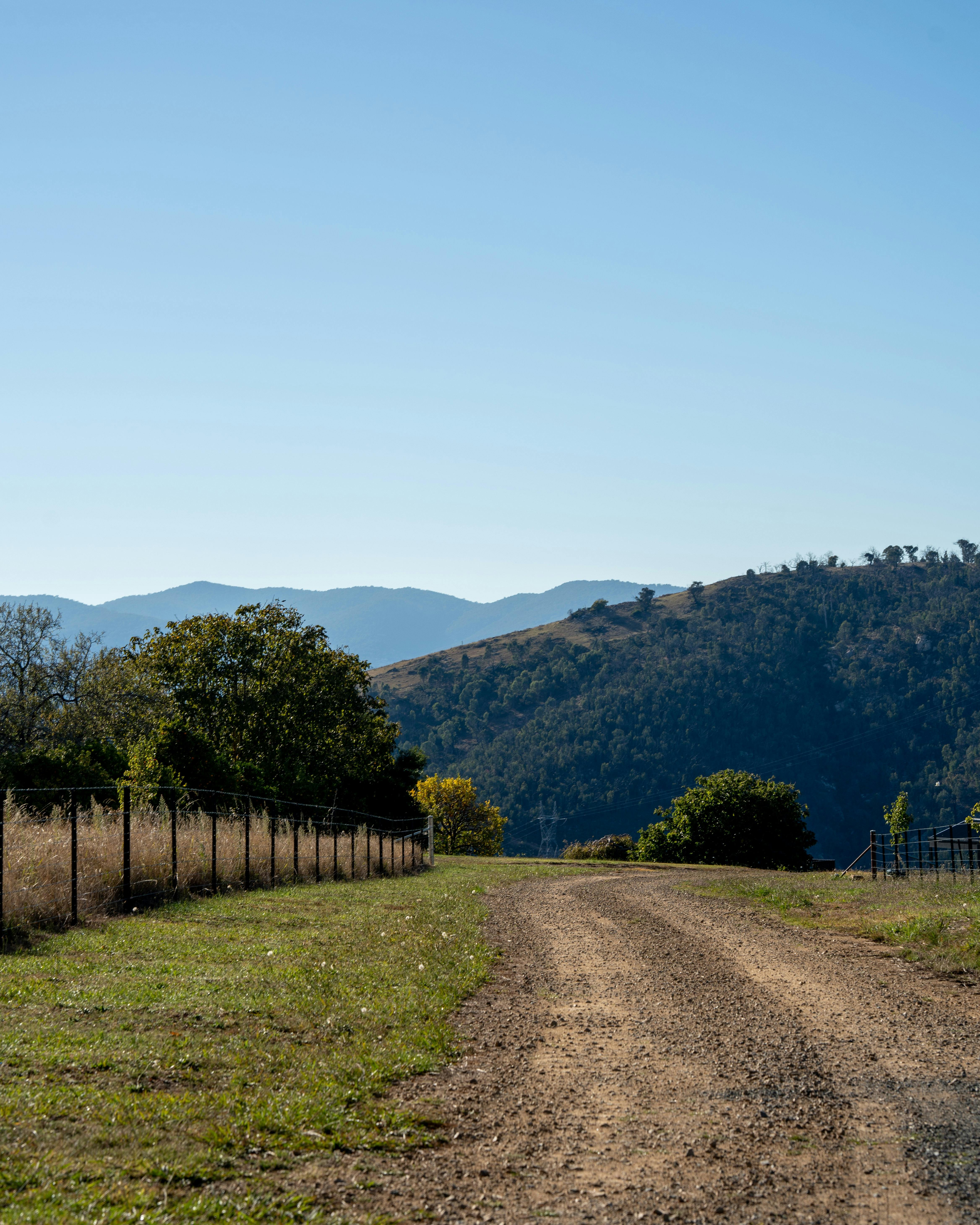 Driveway leading to the farm stay accommodation.