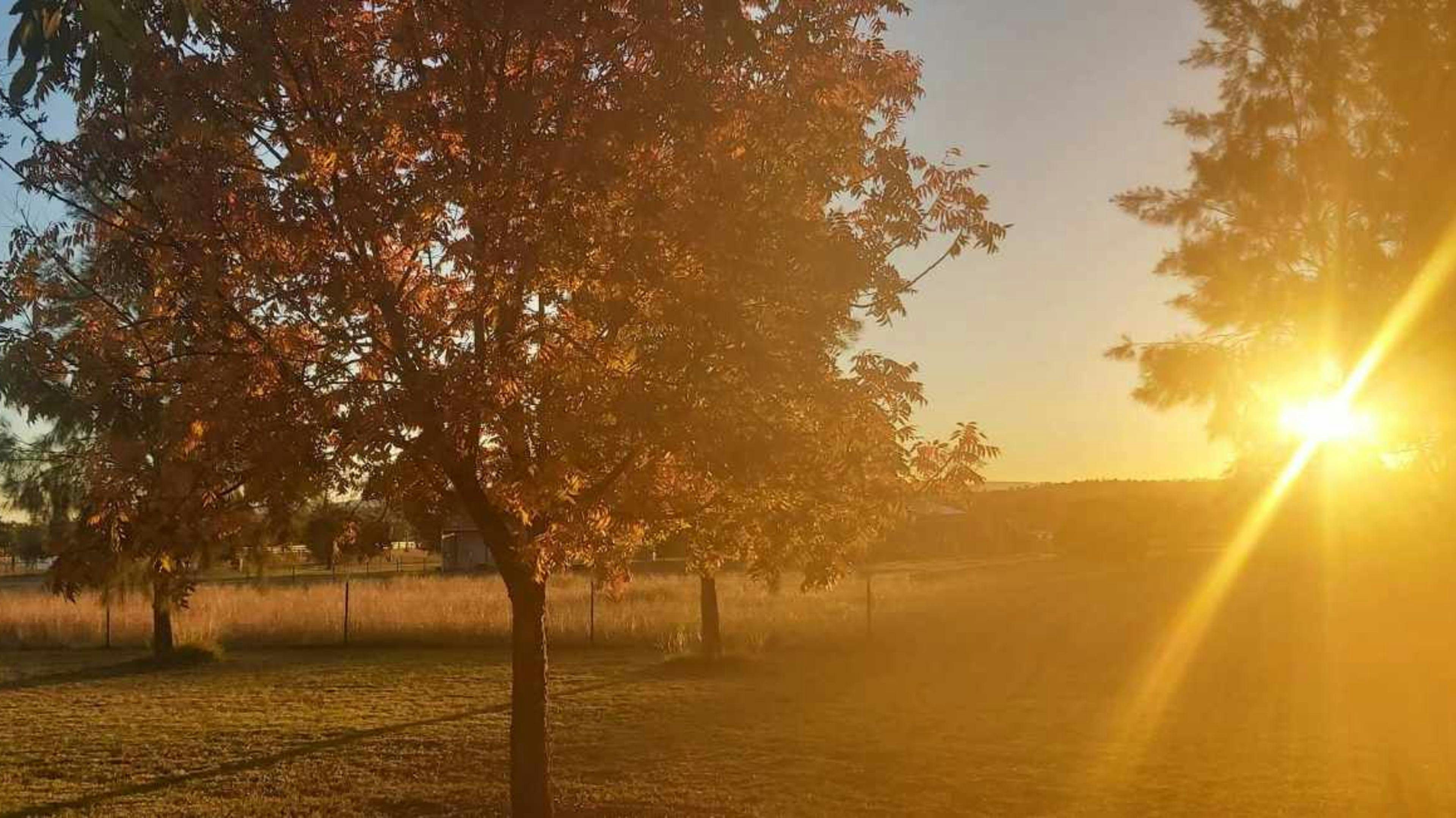 Calm Your Farm Country Stays