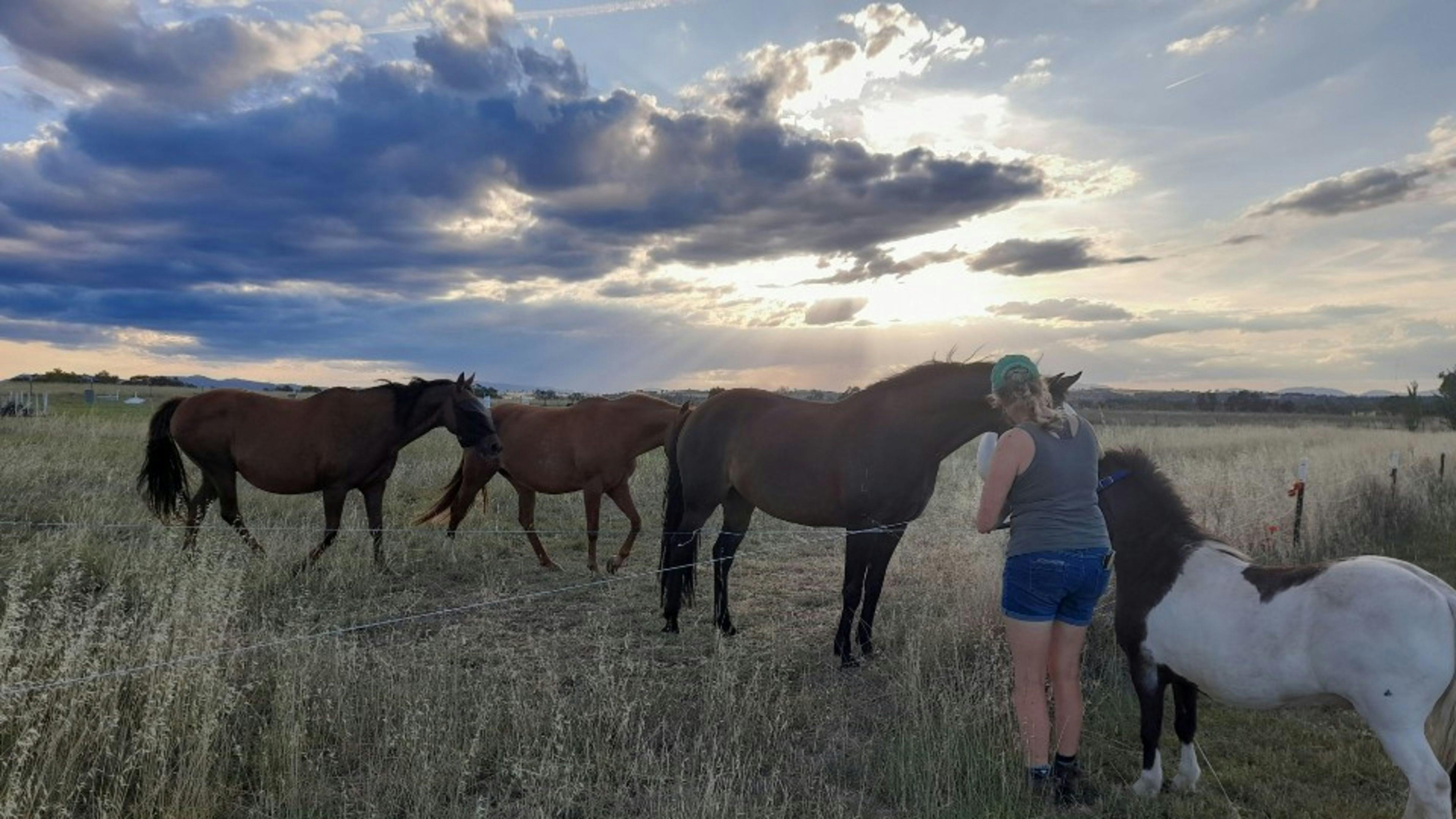 Calm Your Farm Country Stays