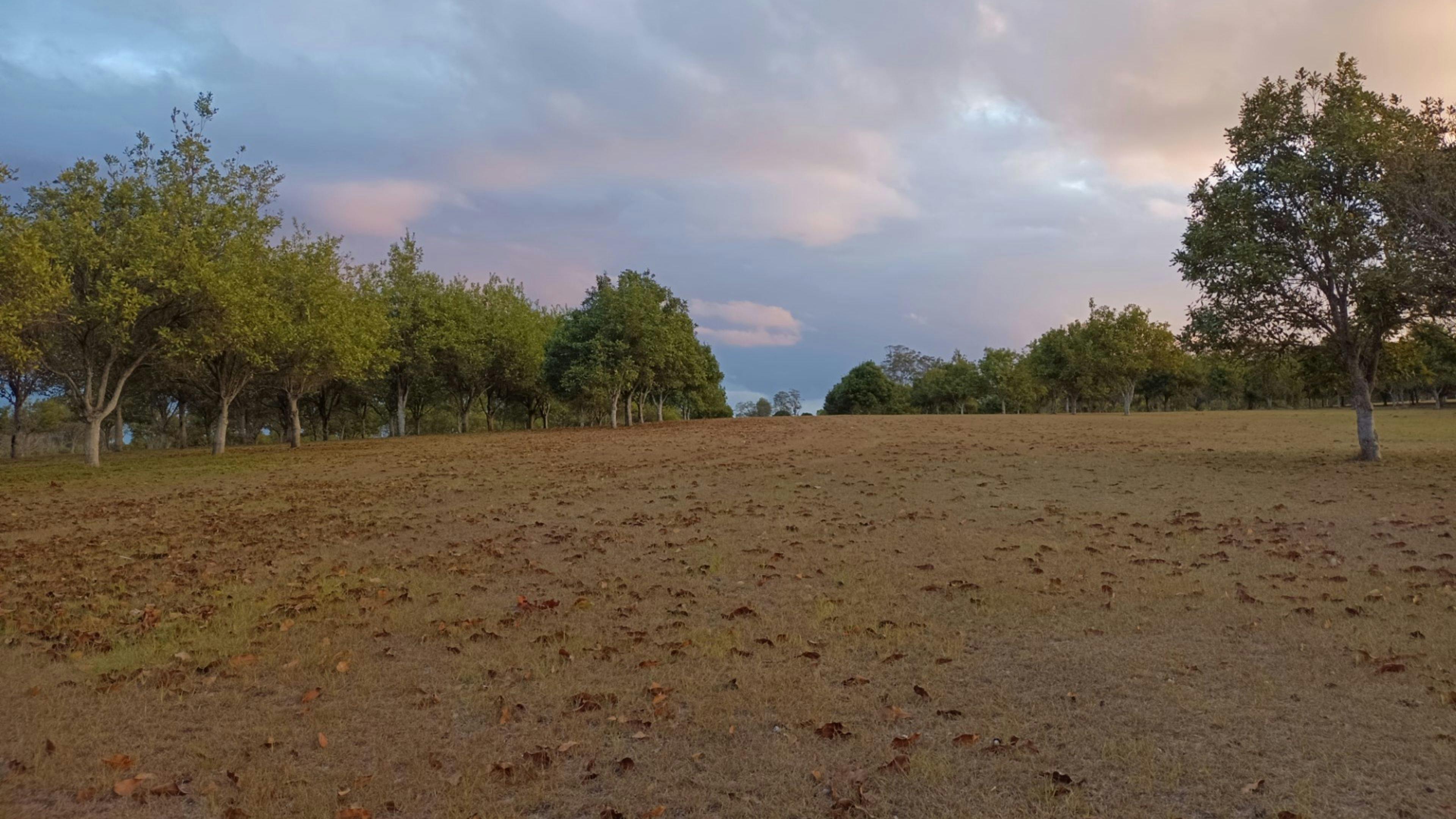 Cambridge Park Macca's