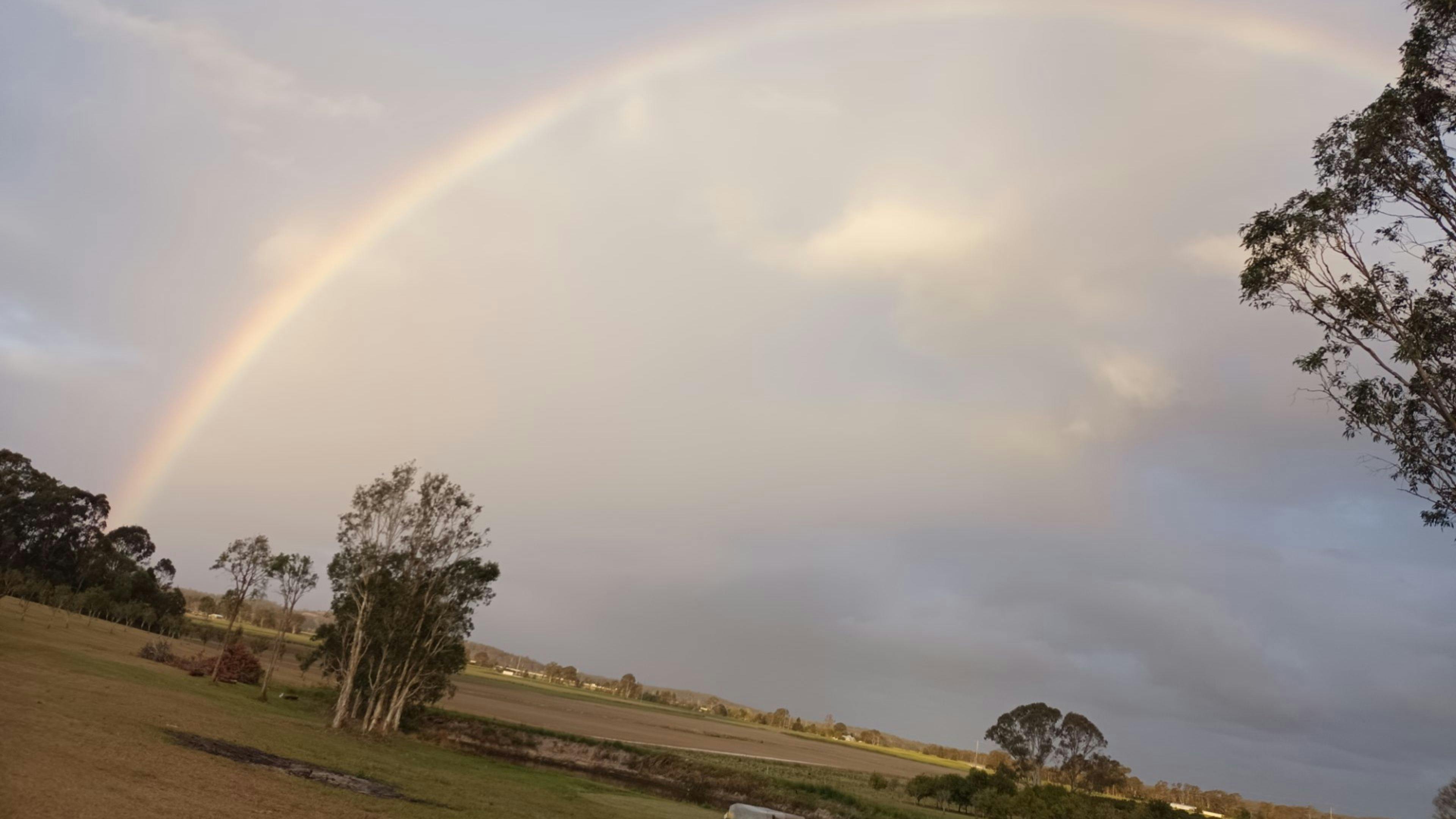 Cambridge Park Macca's