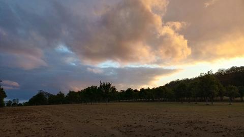 Cambridge Park Macca's