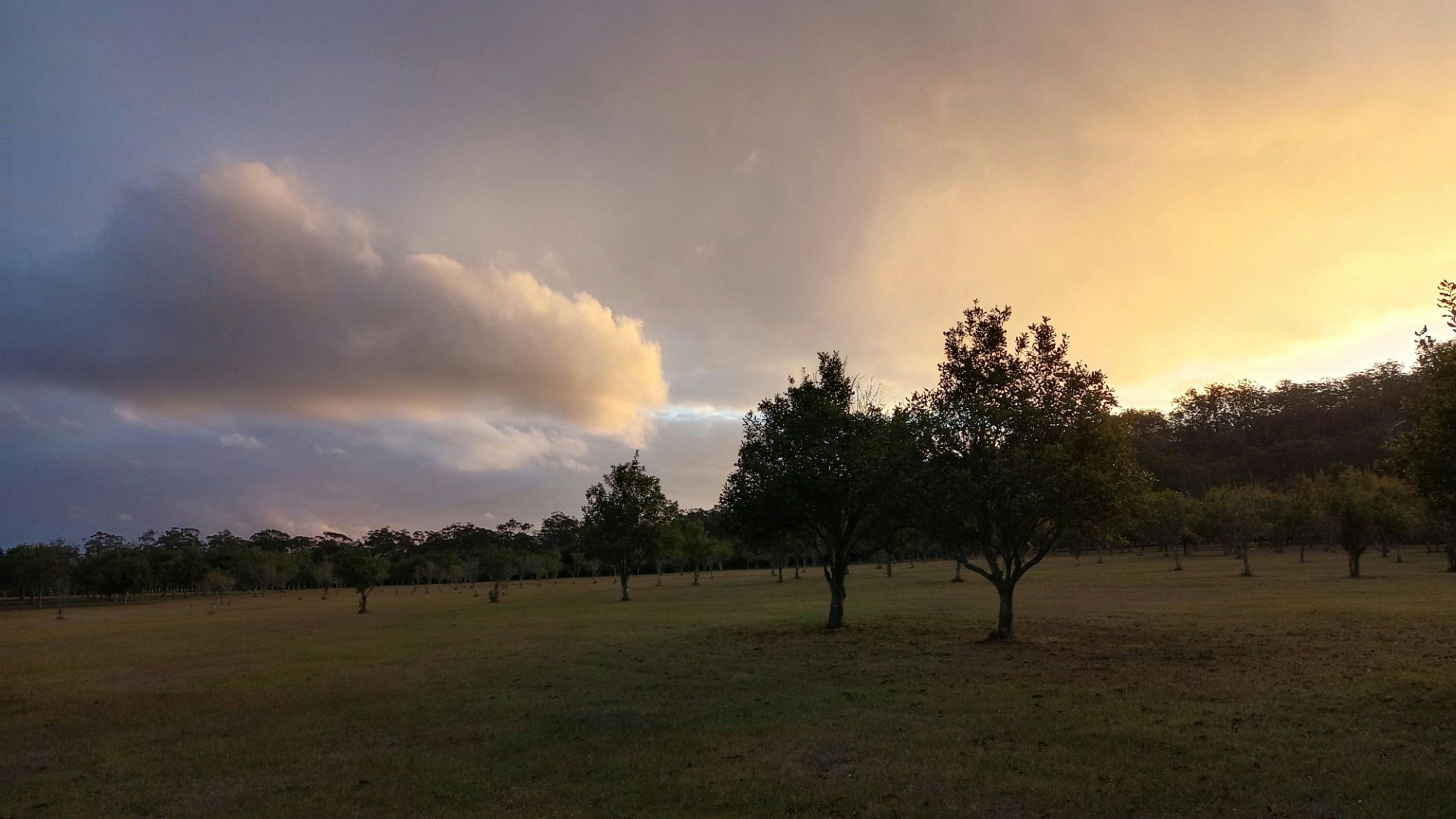 Cambridge Park Macca's