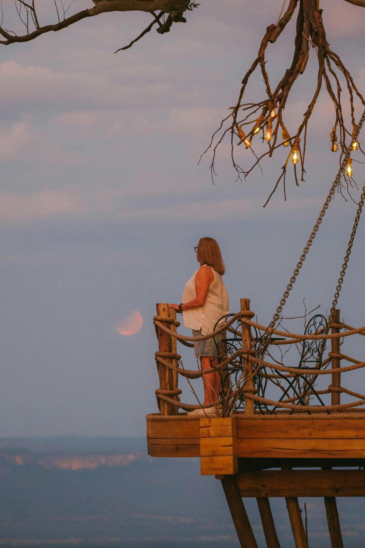 Treehouse lookout at Ophiuchus tent
