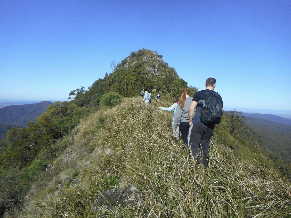 Walking on nearby Mt Royal