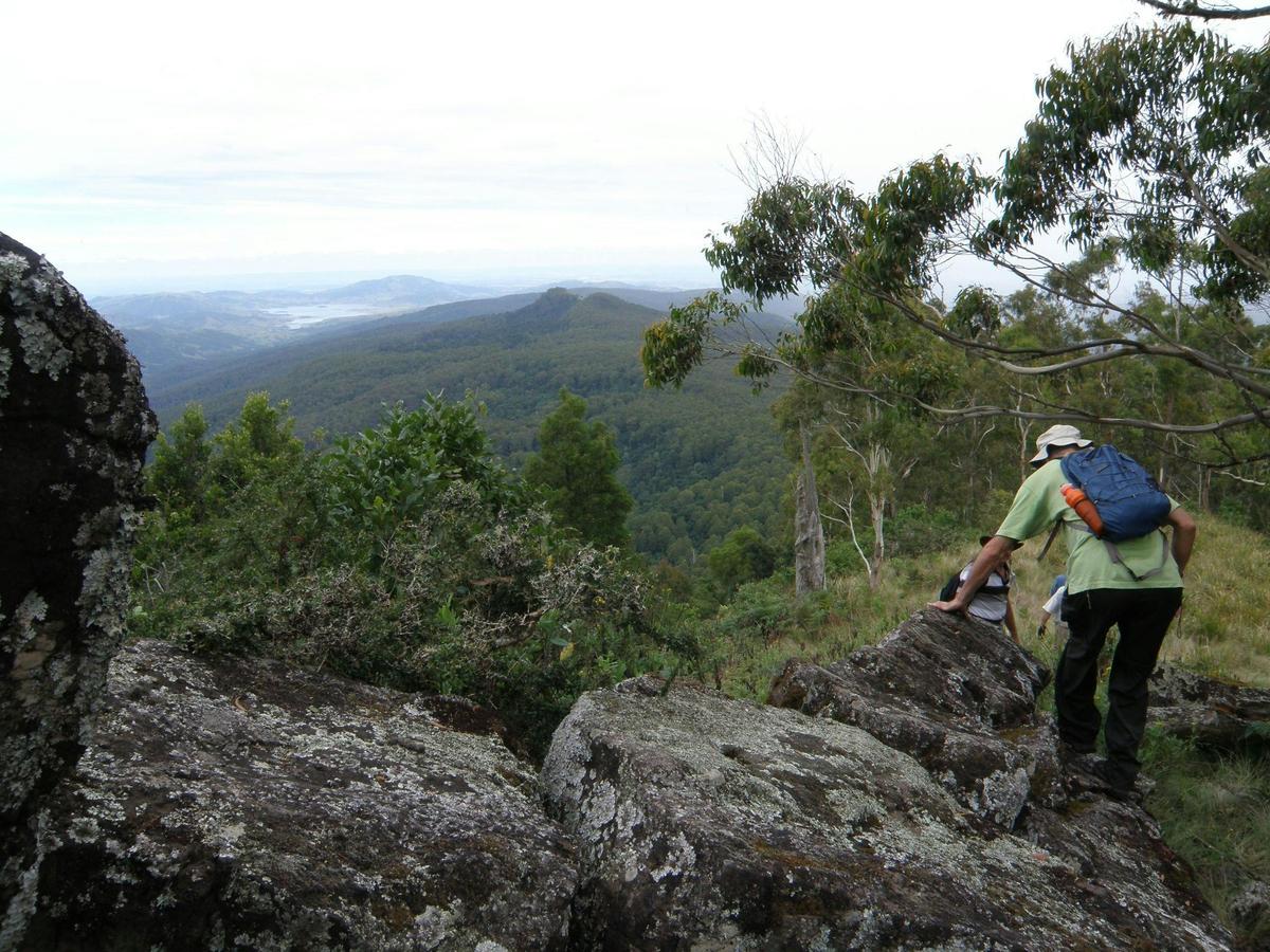 Walk in nearby Mount Royal National Park