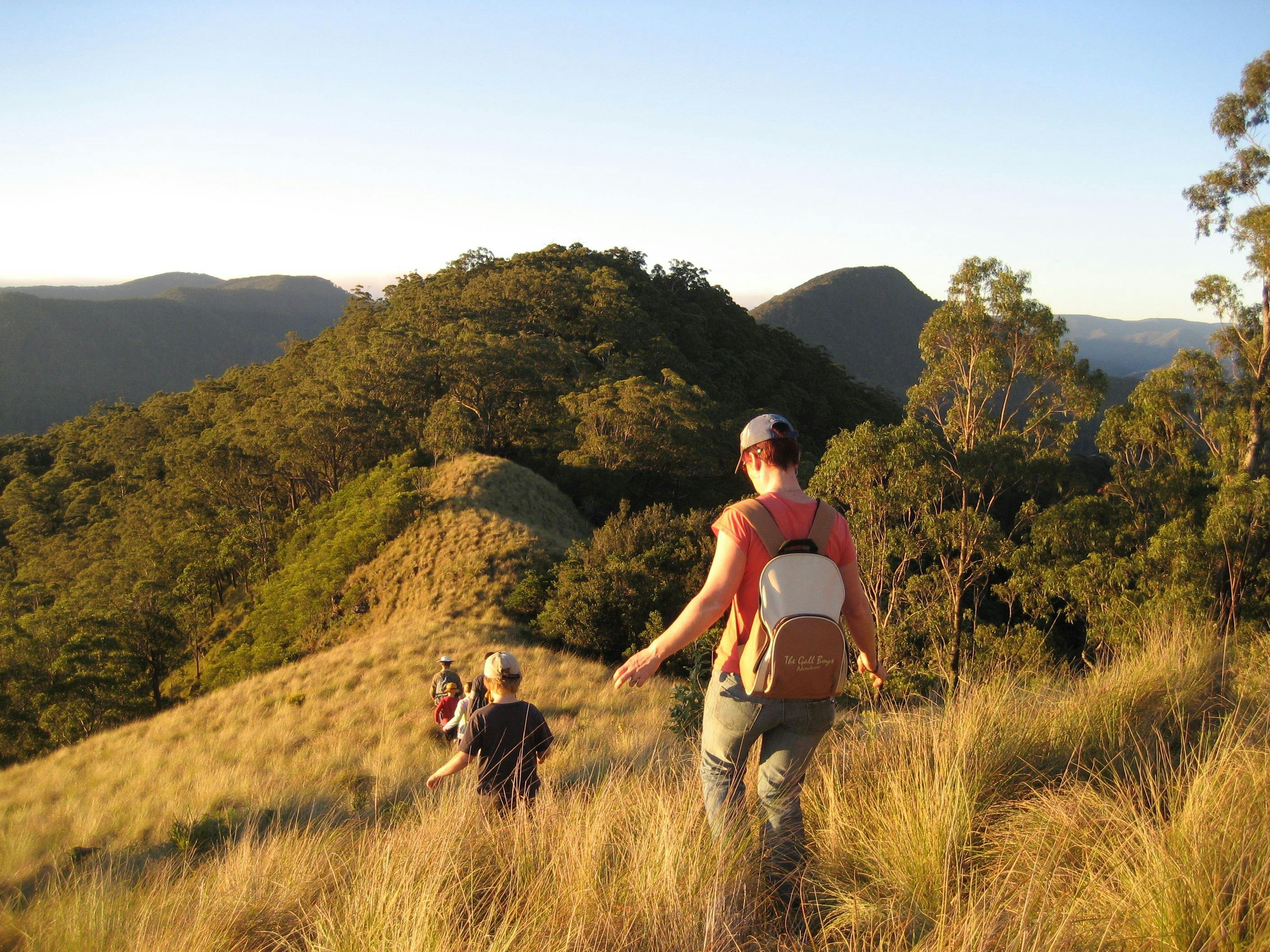 Pieries Peak walk near Callicoma Hill Eco-cabins