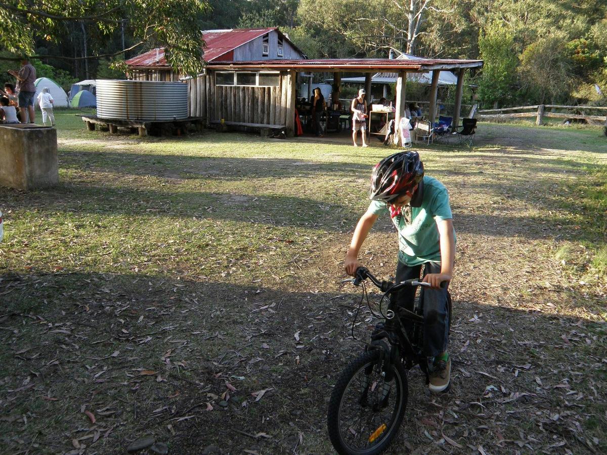 Space to roam at Mt Royal Camping area