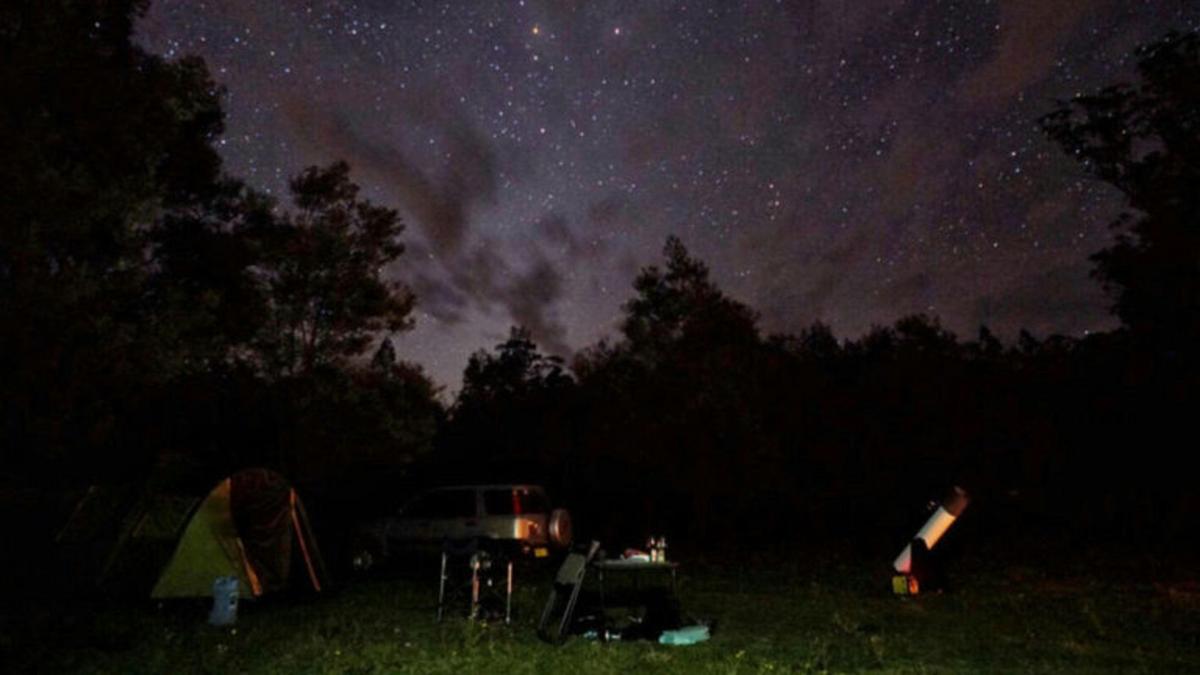Amazing nights