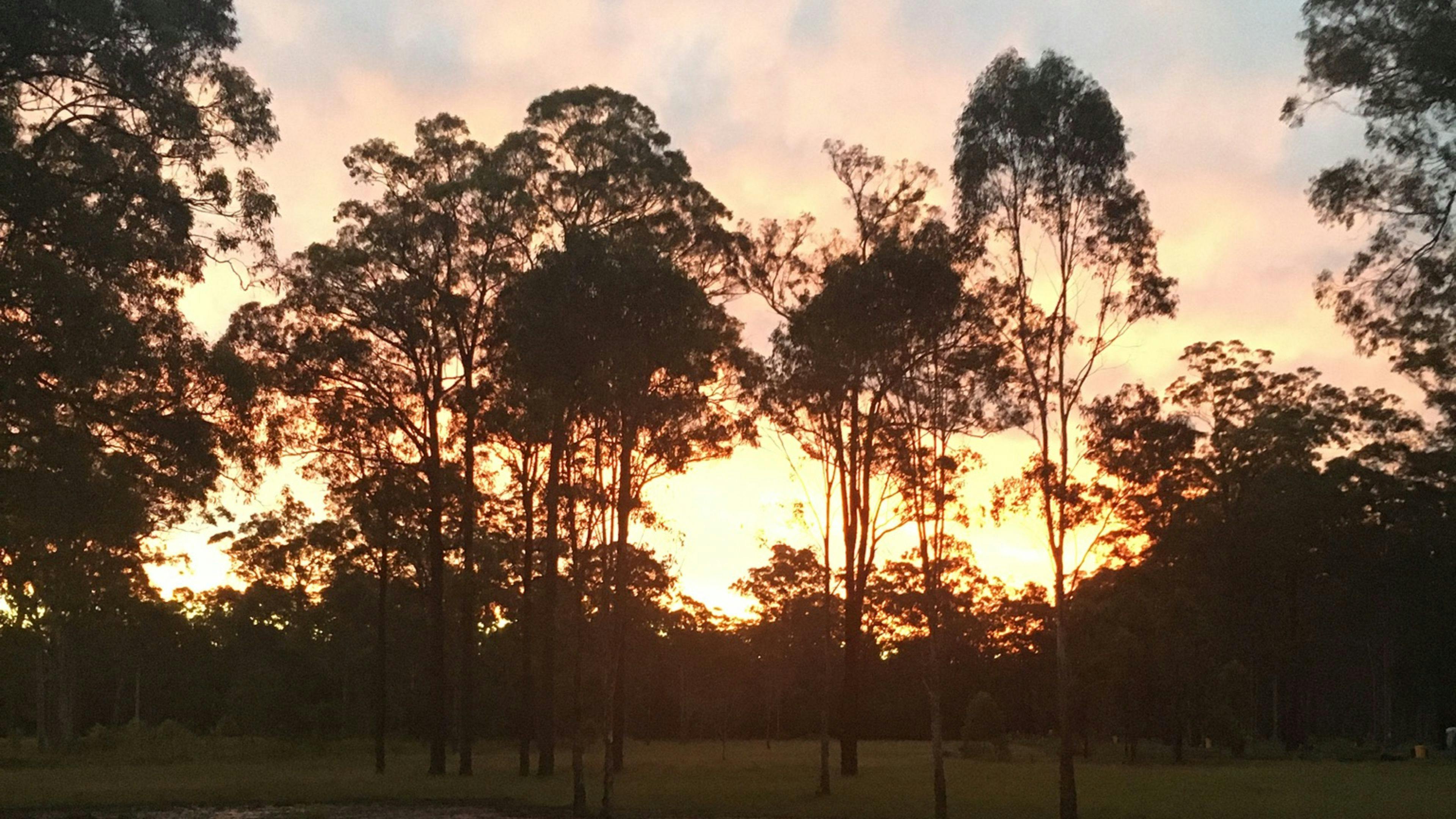 Bucketts Way Camp n Stay