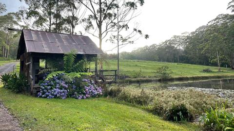 Bucca Valley Blueberries Farmstay