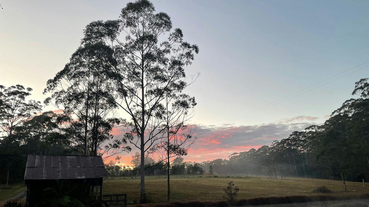 Bucca Valley Blueberries Farmstay