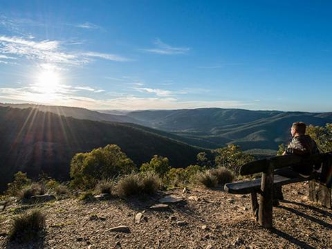 Beaufoy Merlin lookout
