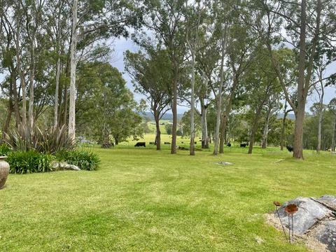 Bushland Escape