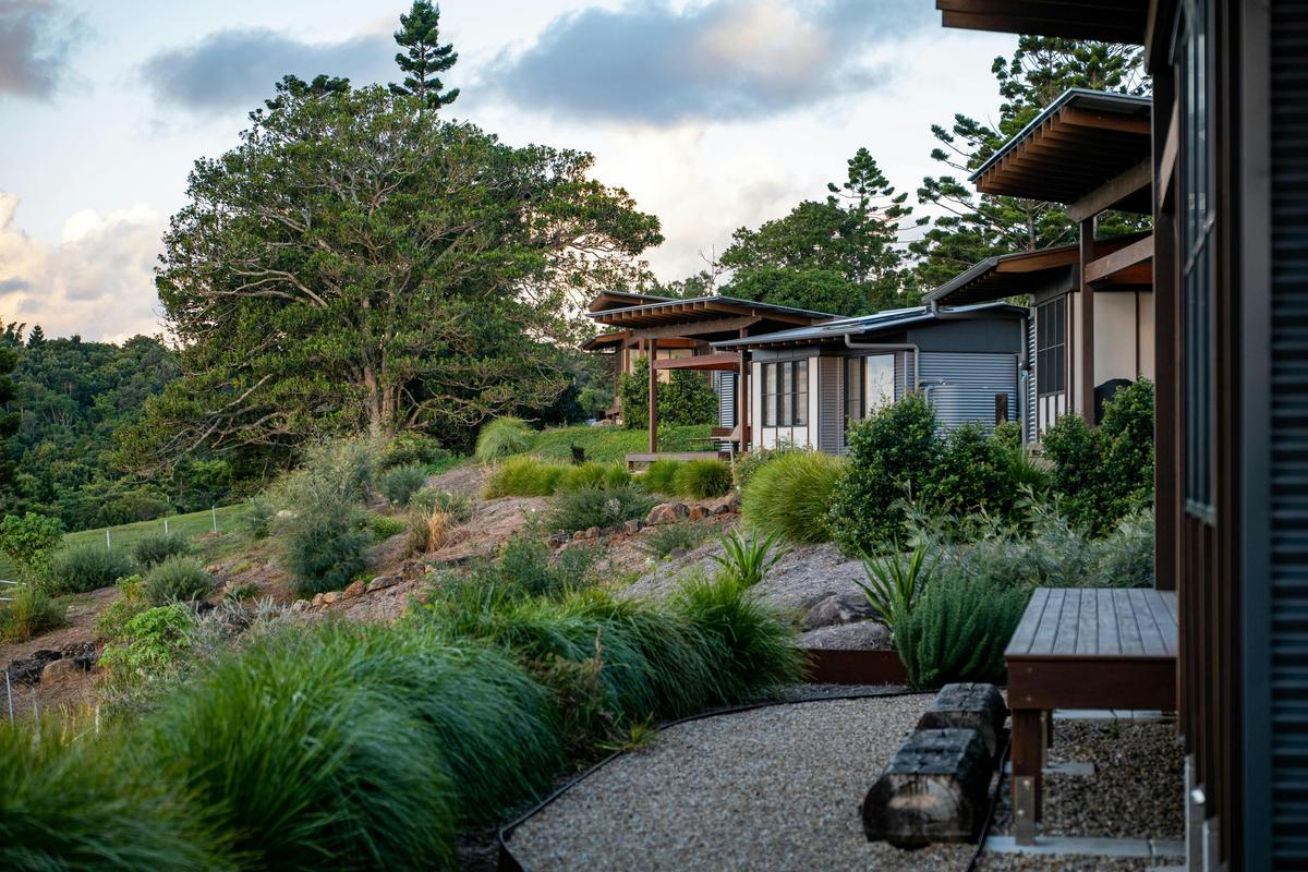 After 20+ years of rainforest regeneration, the property now thrives with native trees & wildlife.
