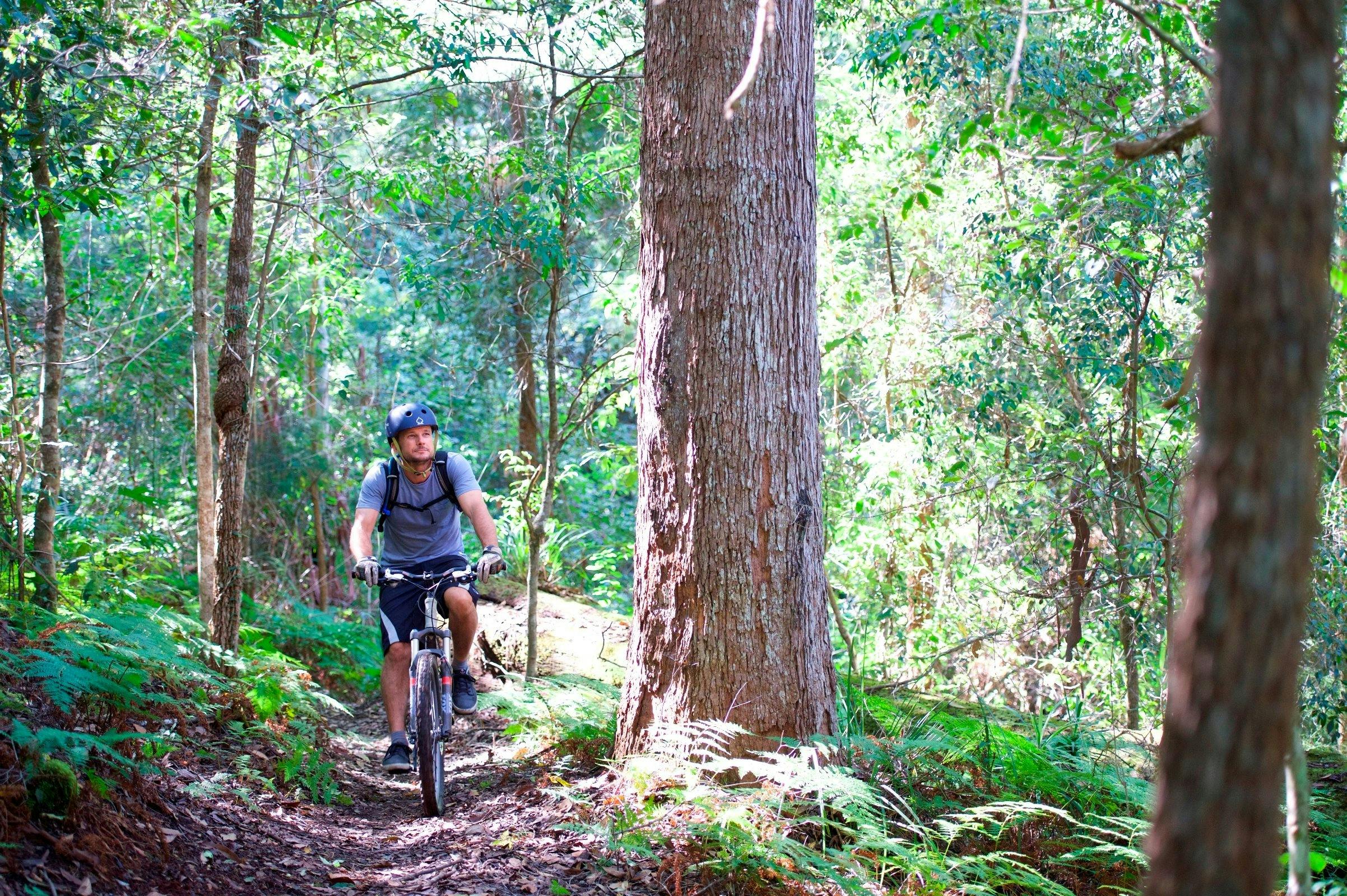 Great Trails On The Door Step