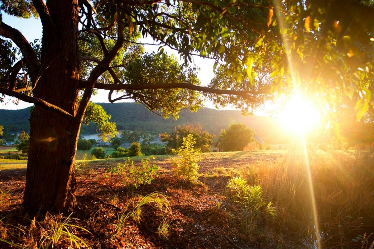 Get Back to Nature