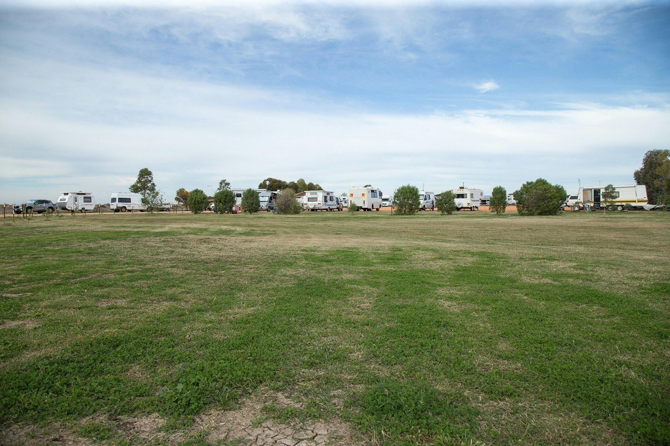 Grass View