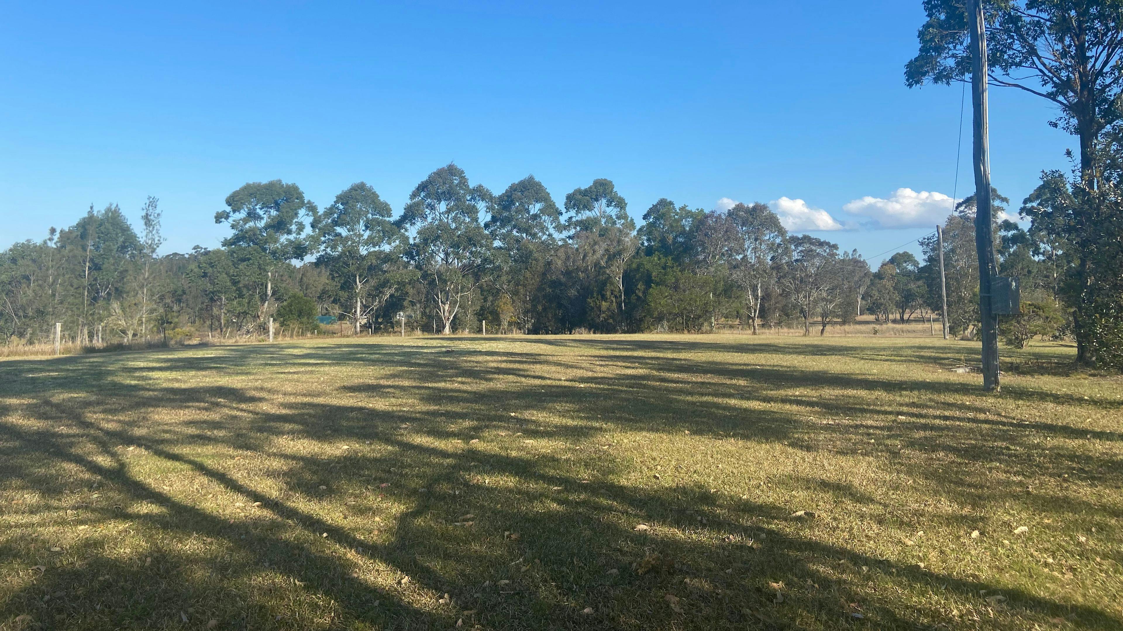The grassy level site. Power box on right. 