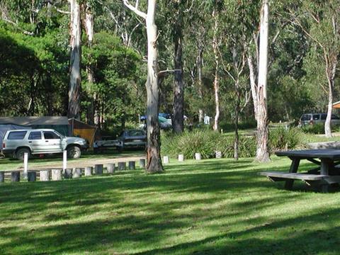 Chaelundi campground