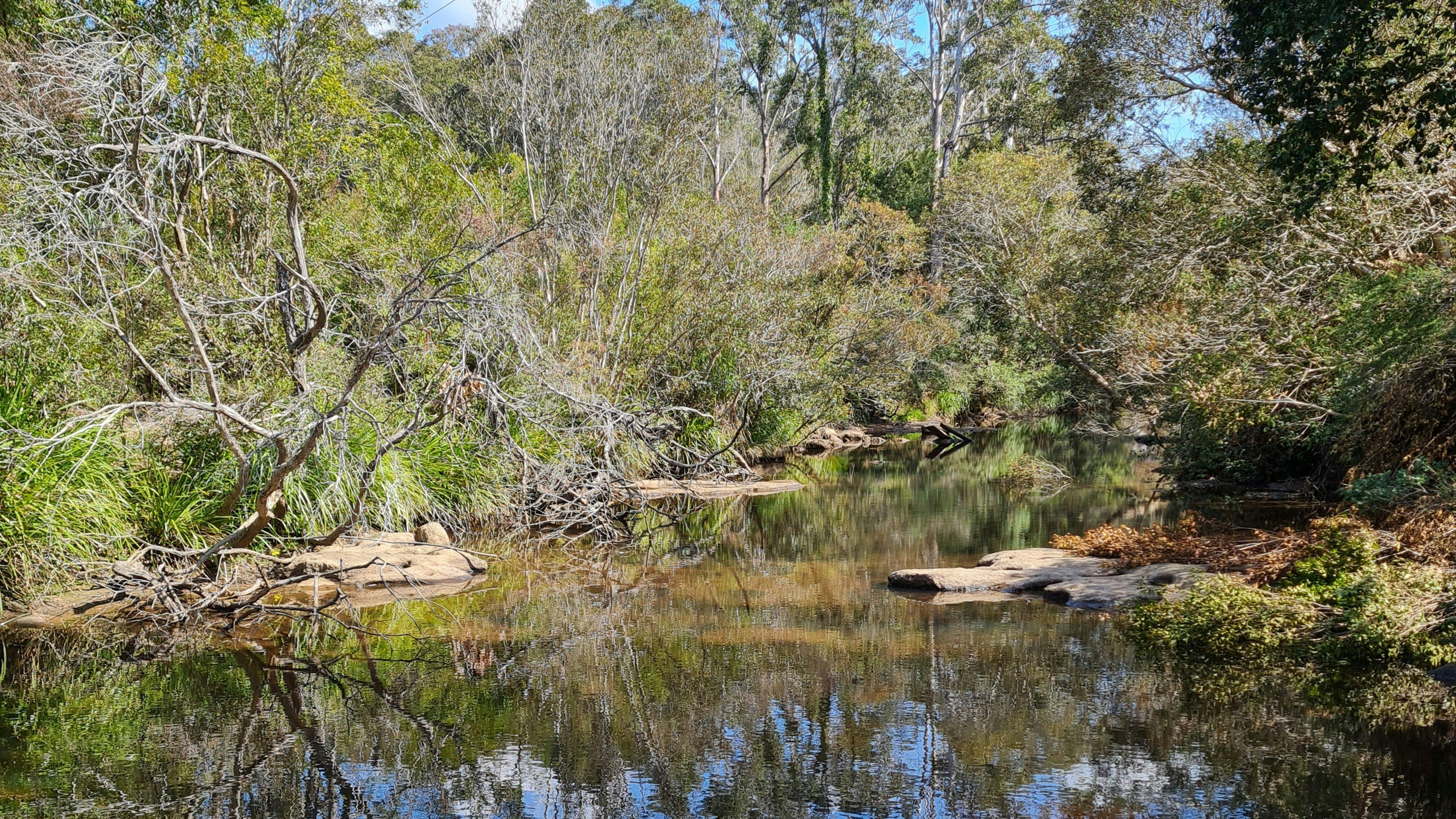 All within a 300m walk from camp