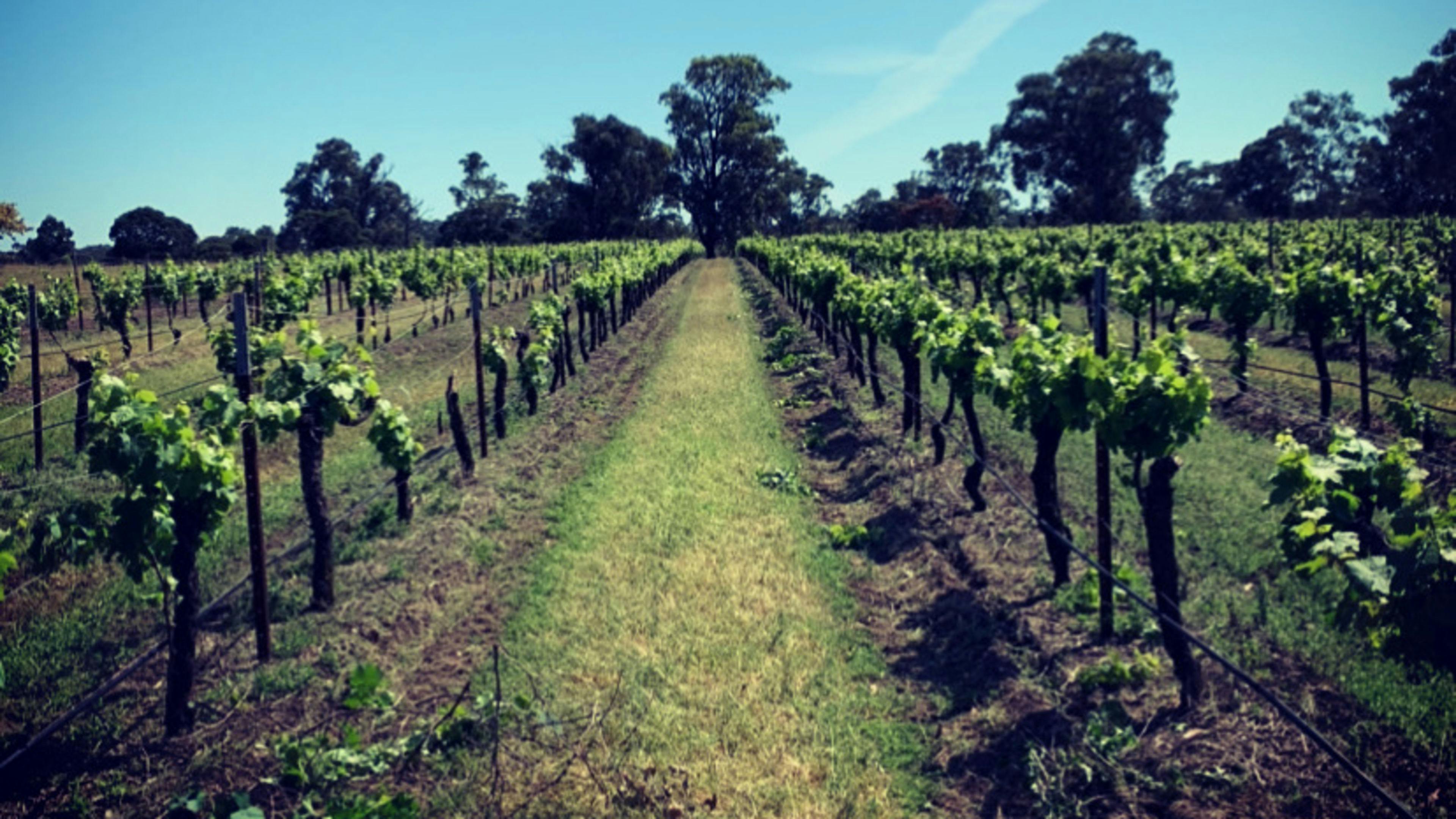 Copper Creek Retreat