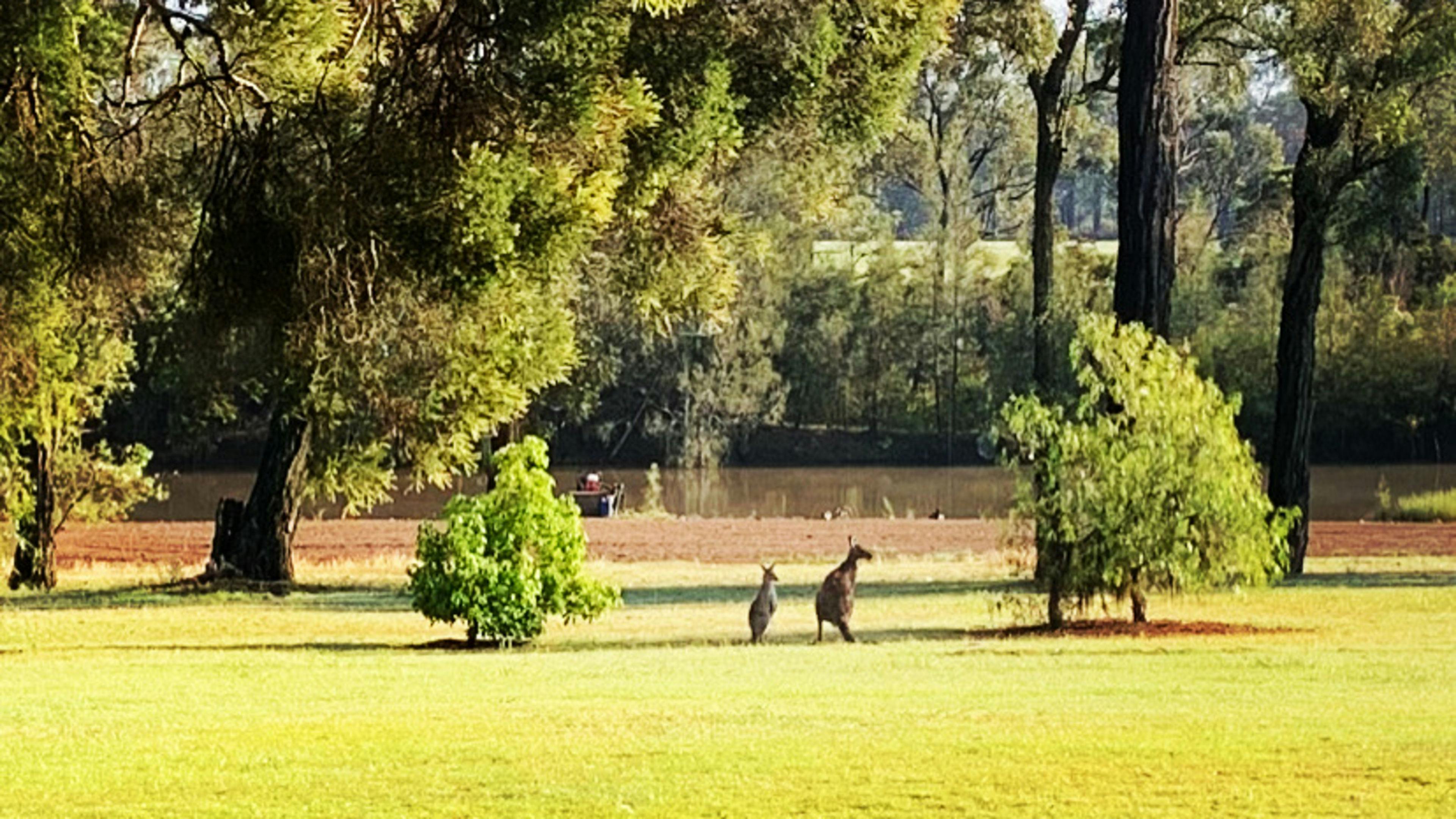 Copper Creek Retreat