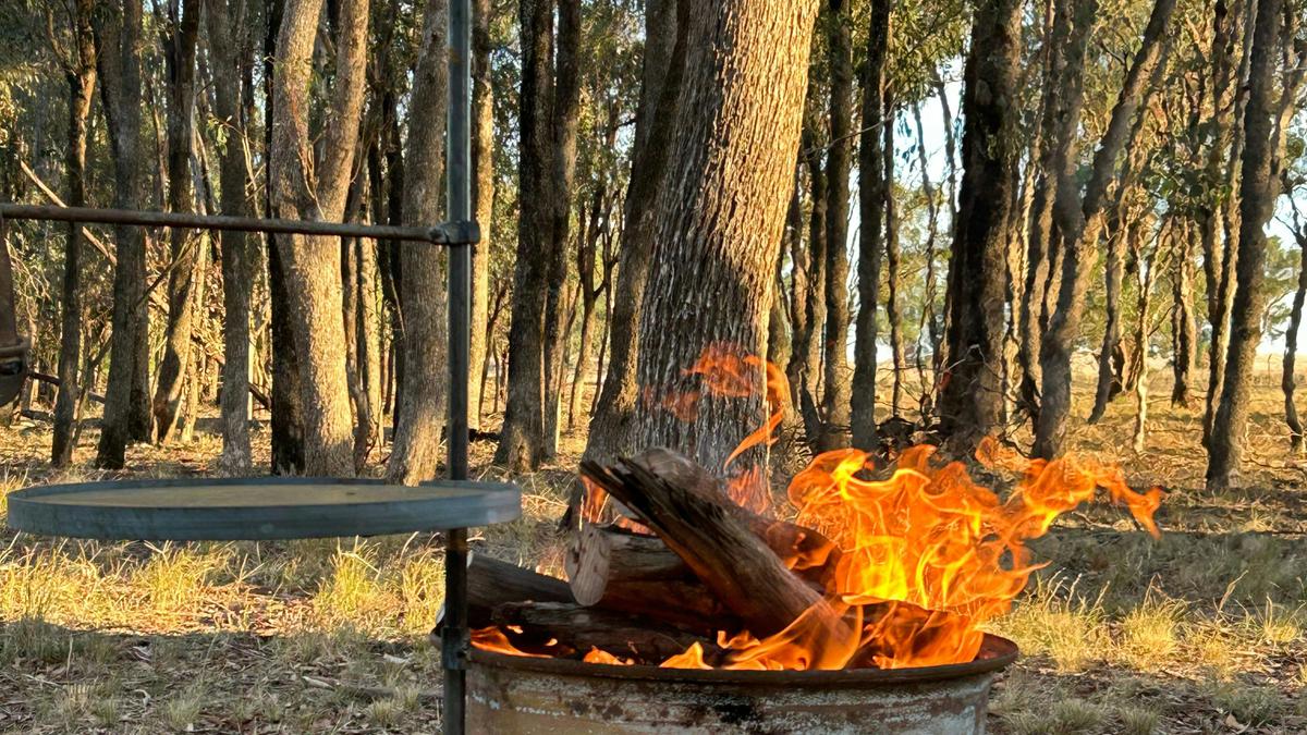 Burrill Creek Camping