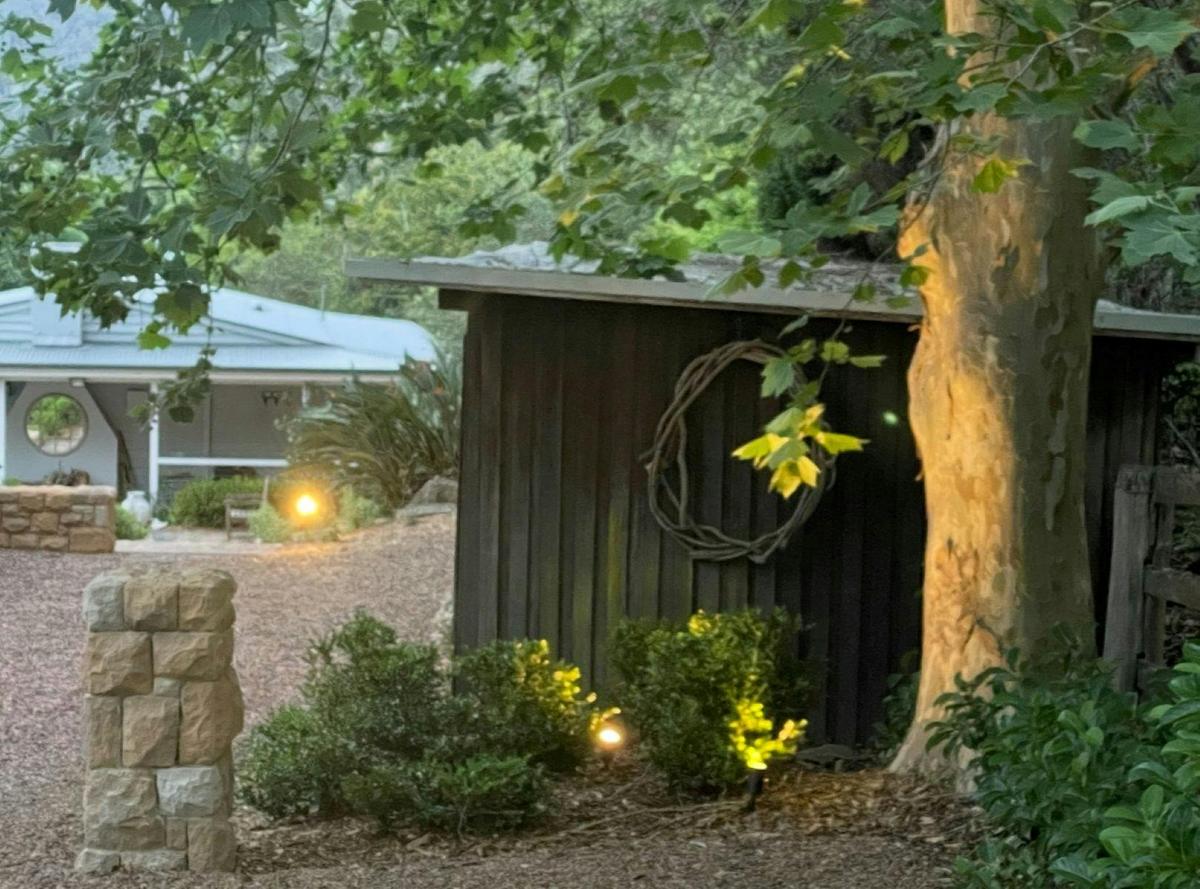 Cedar Tree Farm