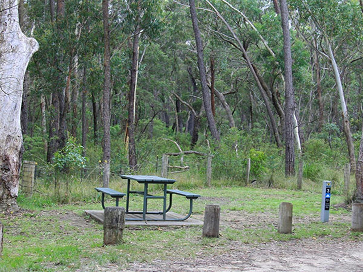 Carrington Falls campground, Budderoo National Park. Photo credit: Chris Keyzer &copy; DPIE
