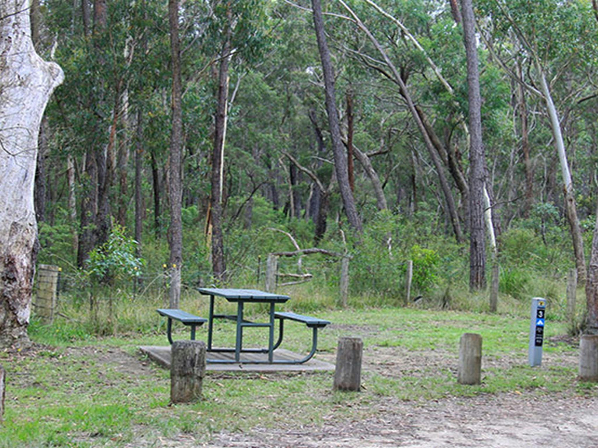 Carrington Falls campground, Budderoo National Park. Photo credit: Chris Keyzer &copy; DPIE