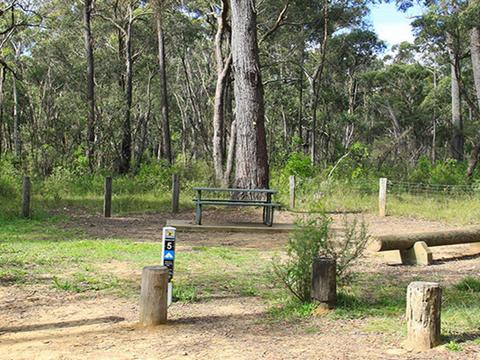 Carrington Falls campground