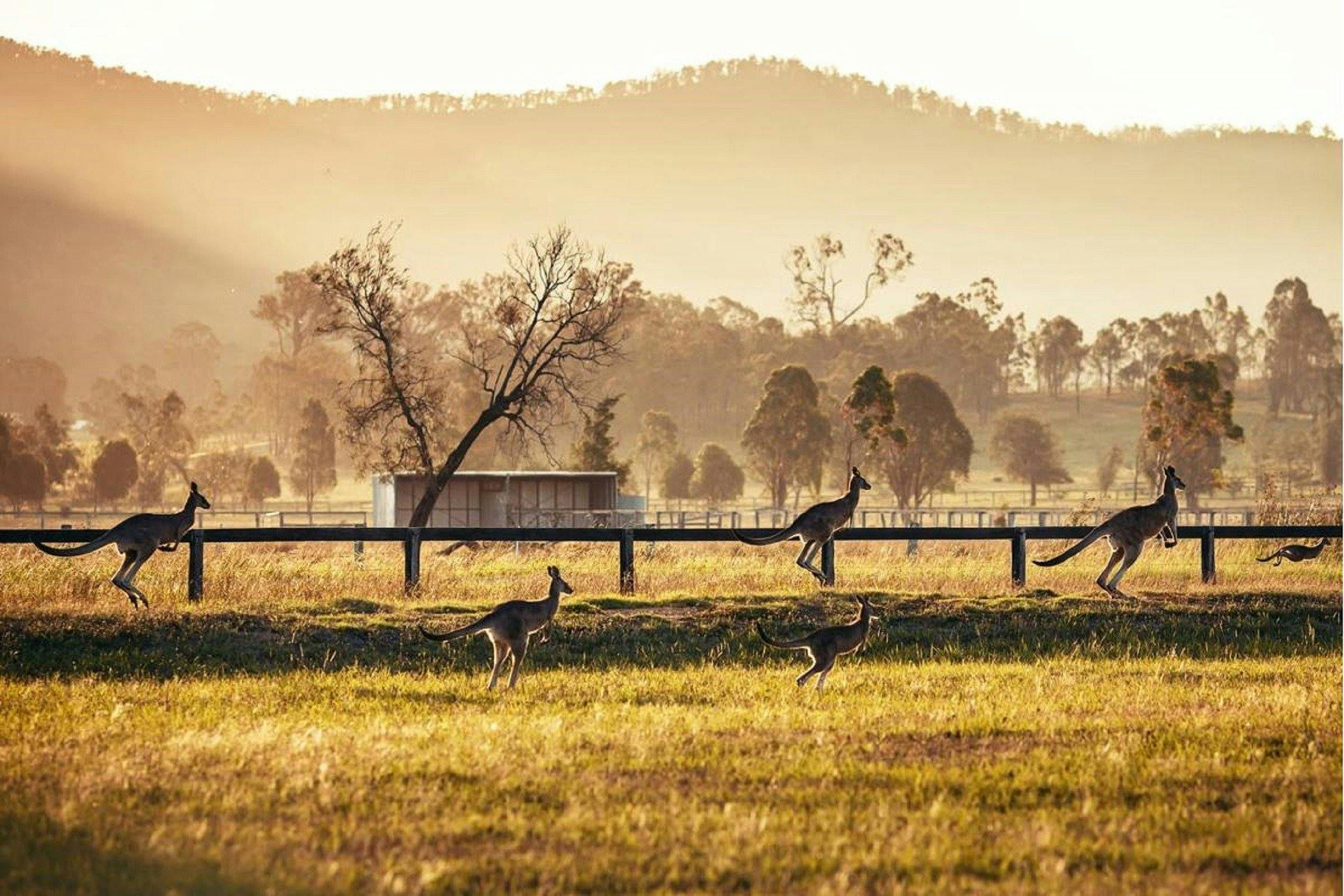 Carriages Boutique Hotel and Vineyard