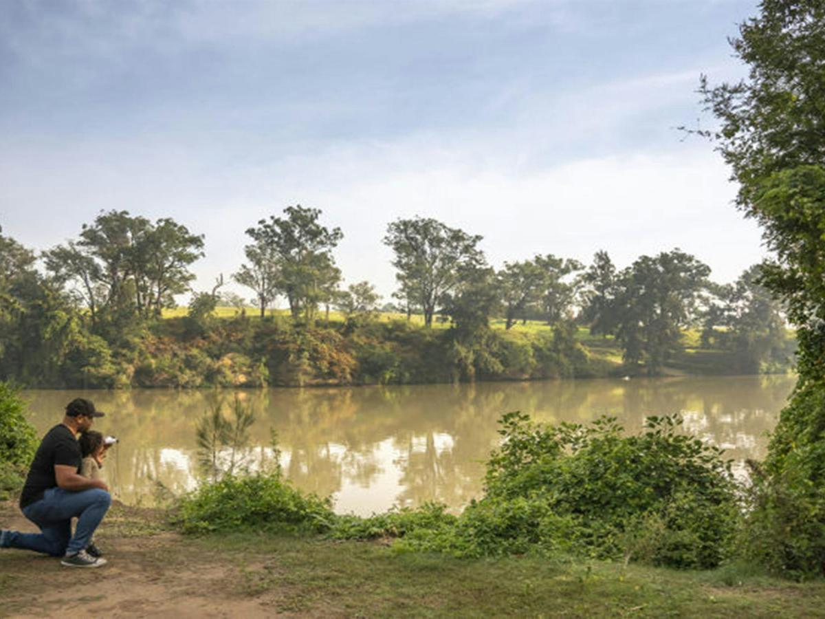 A father helping his daughter use binoculars to spot wildlife on the Hawkesbury River, at Cattai