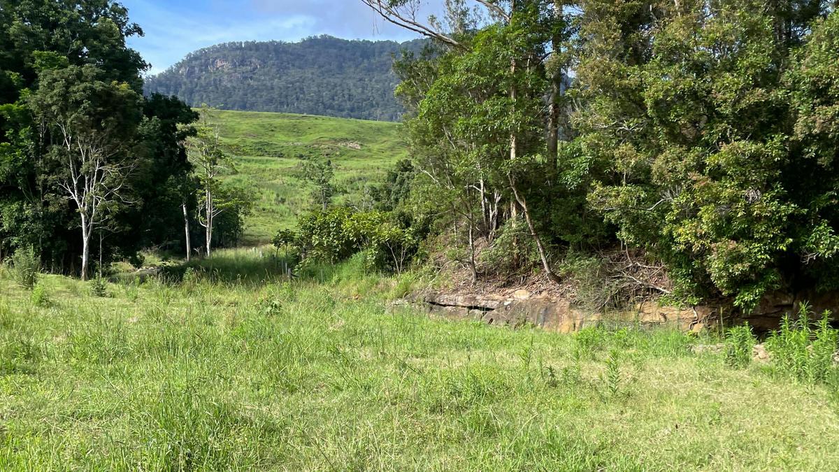 Caldera Creek Farm