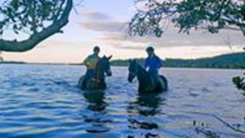 Clarence Events  and Camping