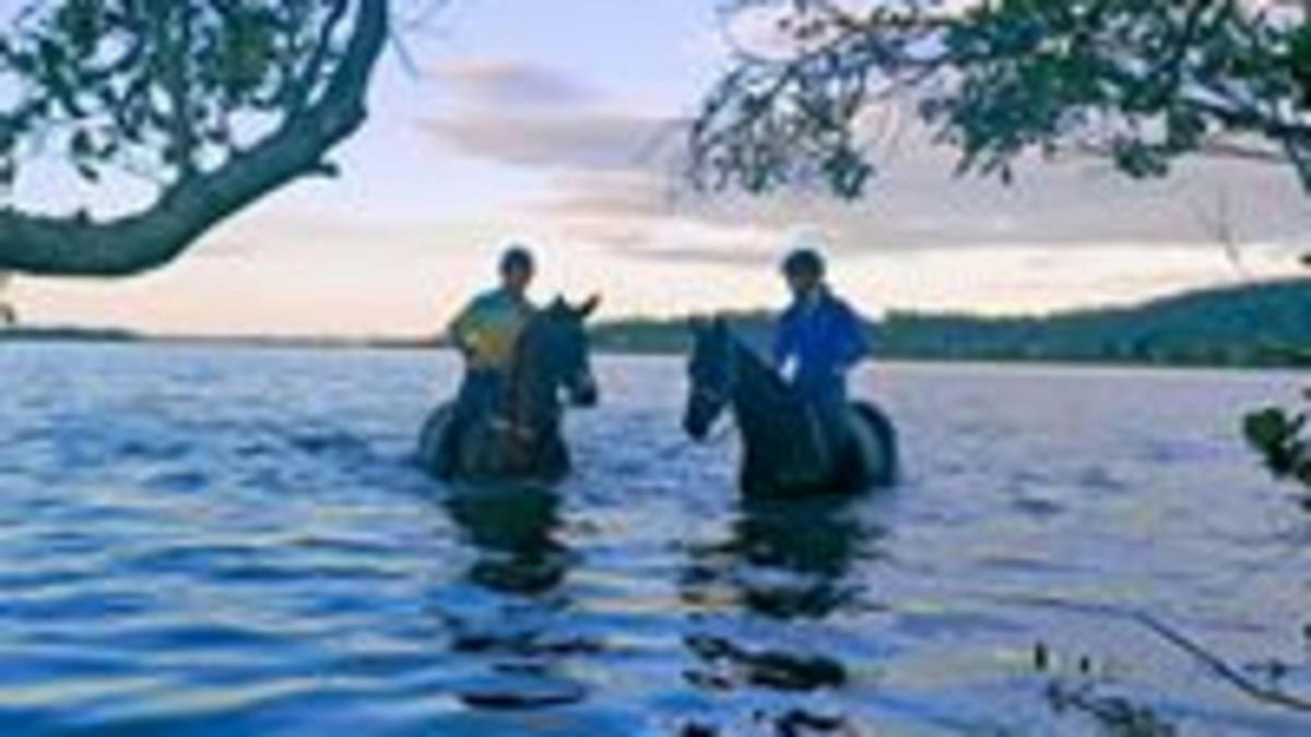 Clarence Events  and Camping