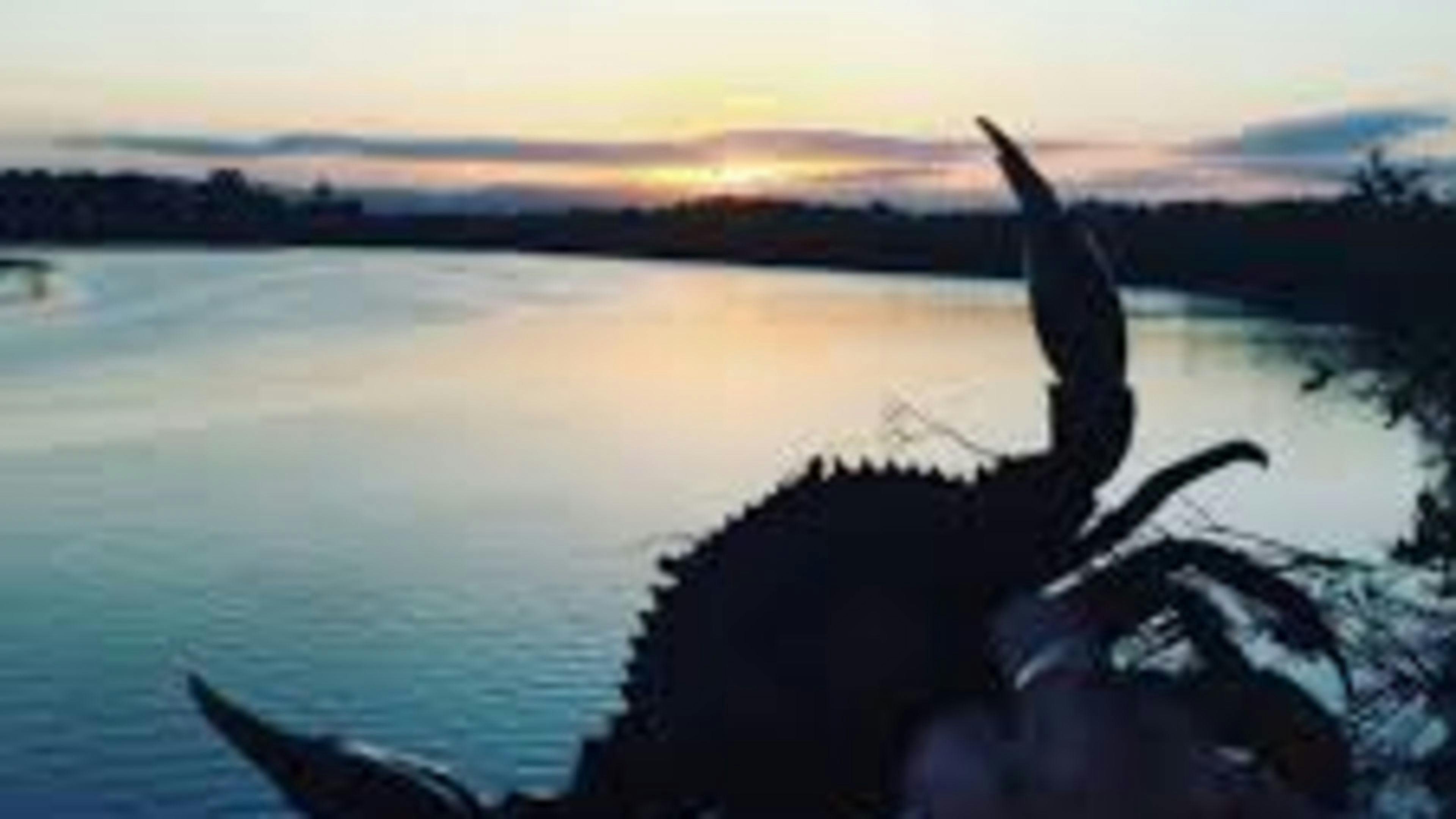 Clarence Events  and Camping