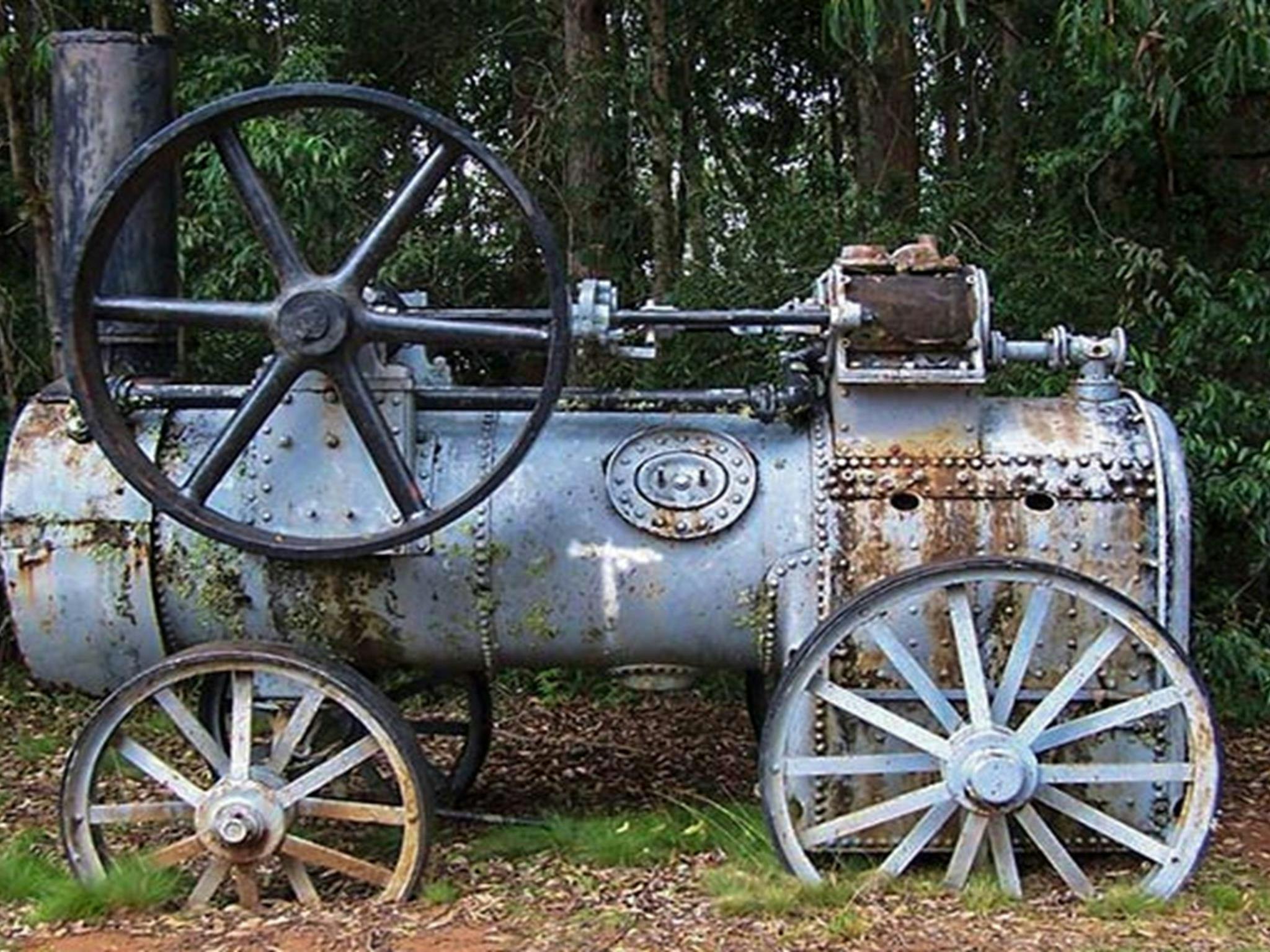 Dingo Tops campground, Tapin Tops National Park. Photo: Kevin Carter/NSW Government