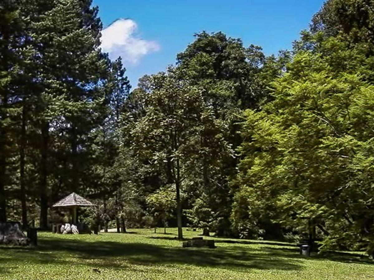 Dingo Tops campground, Tapin Tops National Park. Photo: Kevin Carter/NSW Government